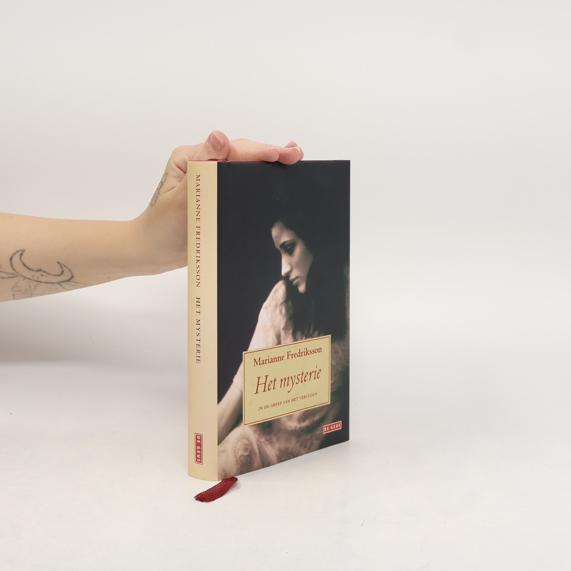 Marianne Fredriksson Het mysterie