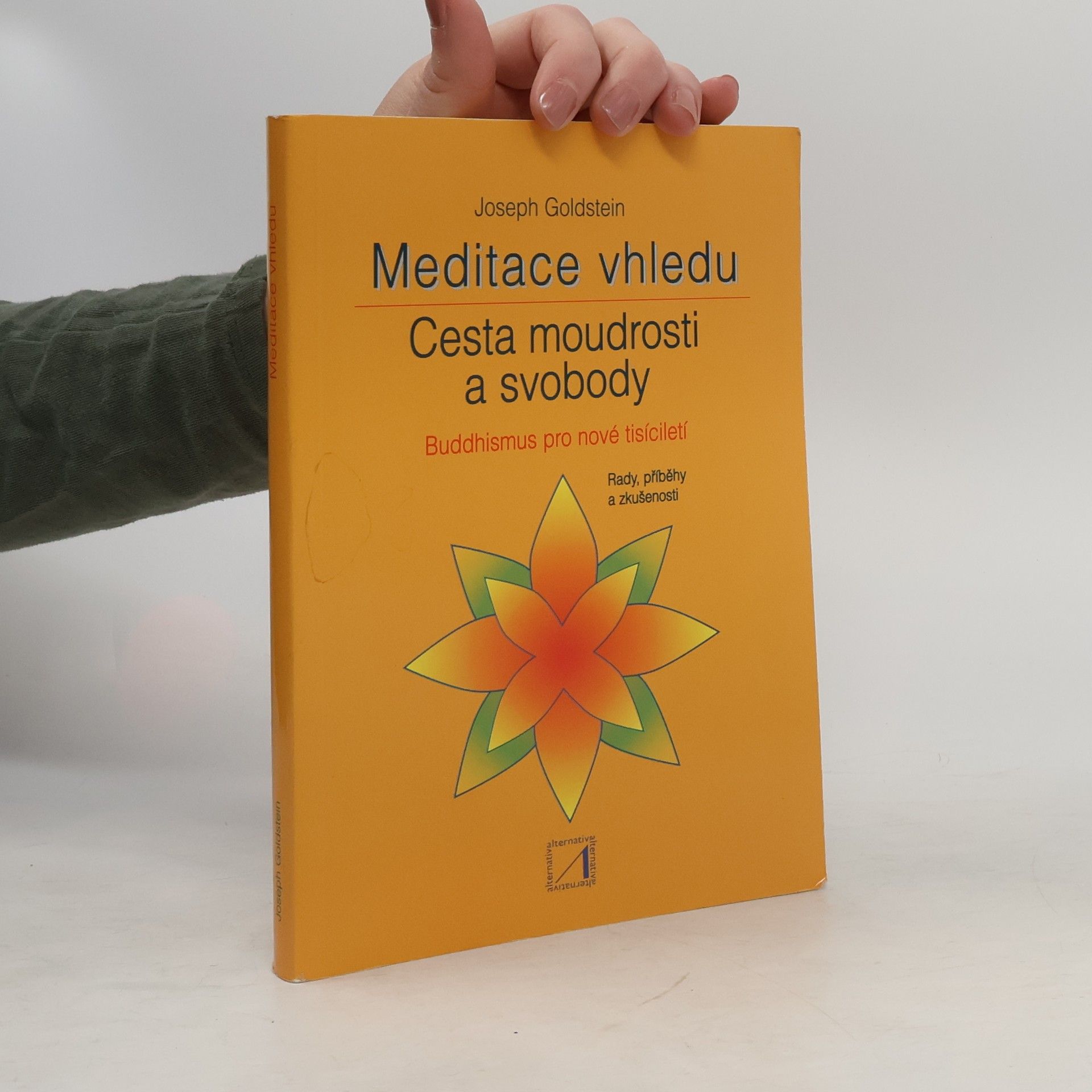Petr Neugebauer Meditace vhledu: Cesta moudrosti a svobody: Buddhismus pro nové tisíciletí