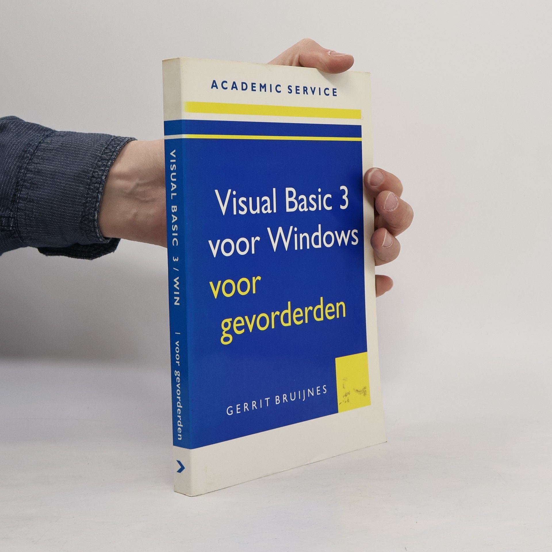 Gerrit Bruijnes Visual Basic 3 voor Windows voor gevorderden