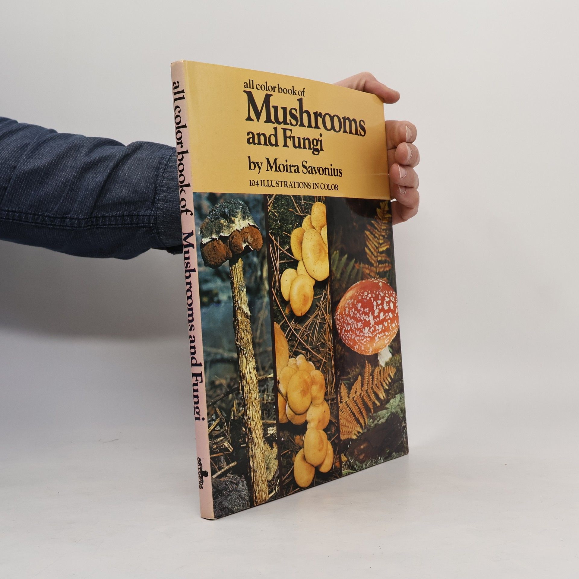 Moira Savonius Mushrooms and Fungi