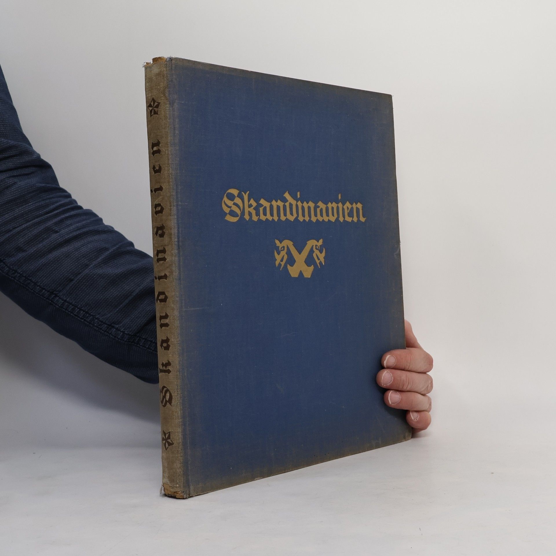 AA.VV. Skandiavien