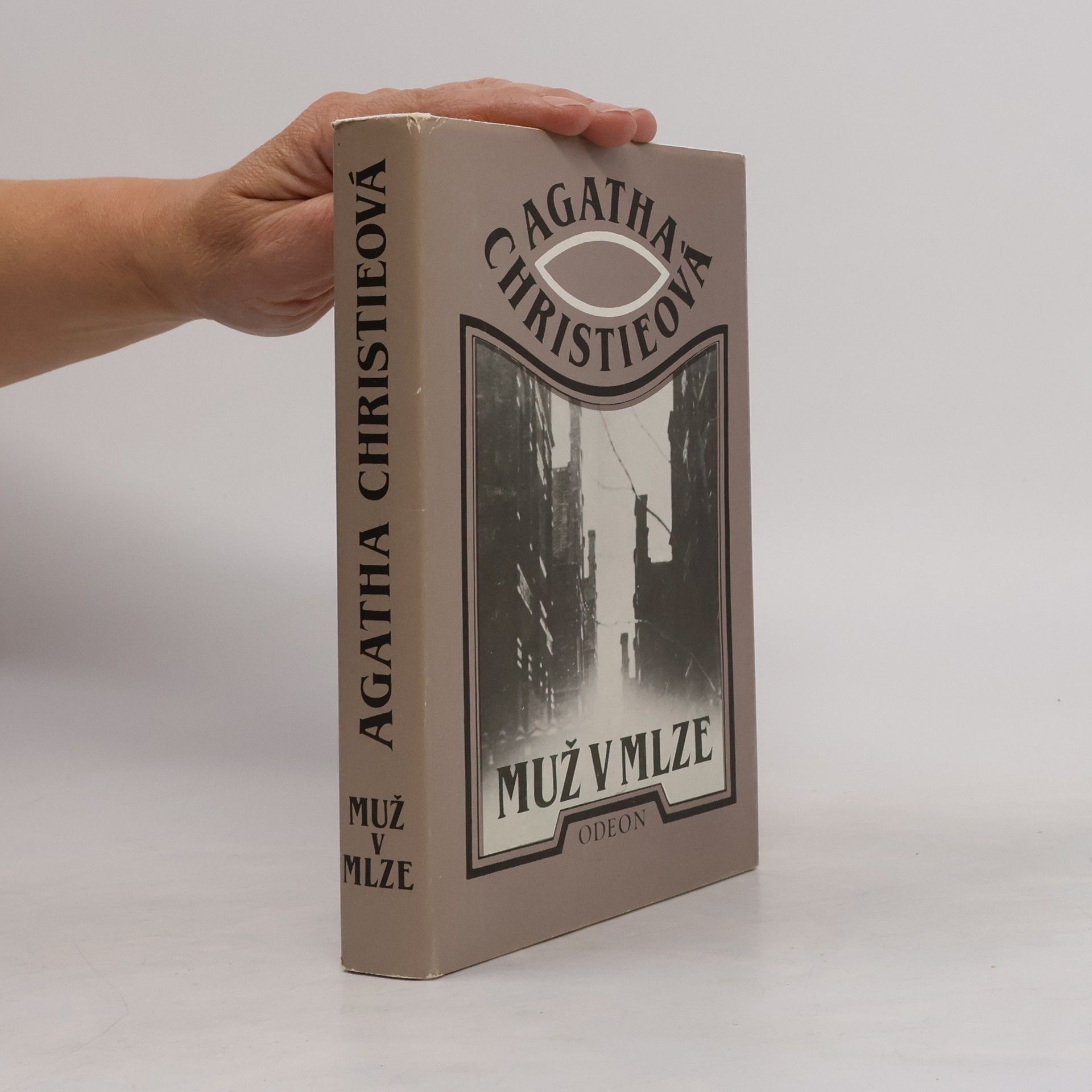 Agatha Christie Muž v mlze