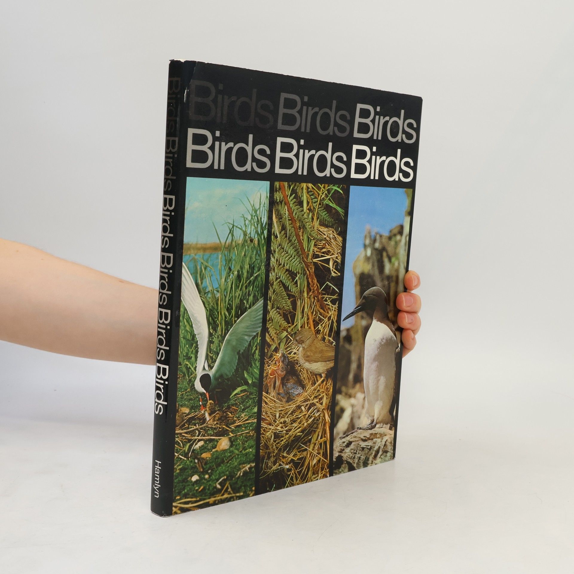 Auteurscollectief Birds, Birds, Birds, Birds.
