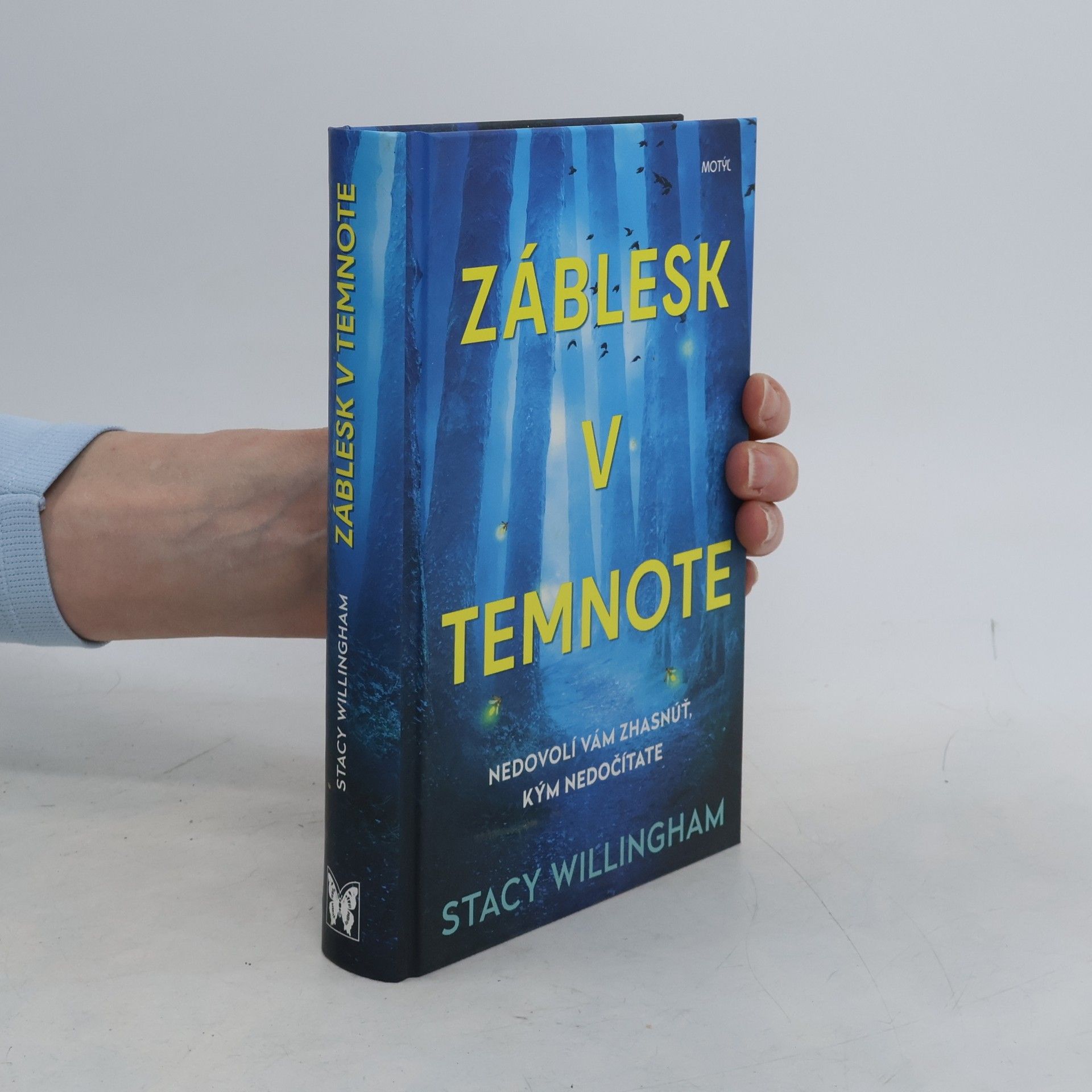 Stacy Willingham Záblesk v temnote