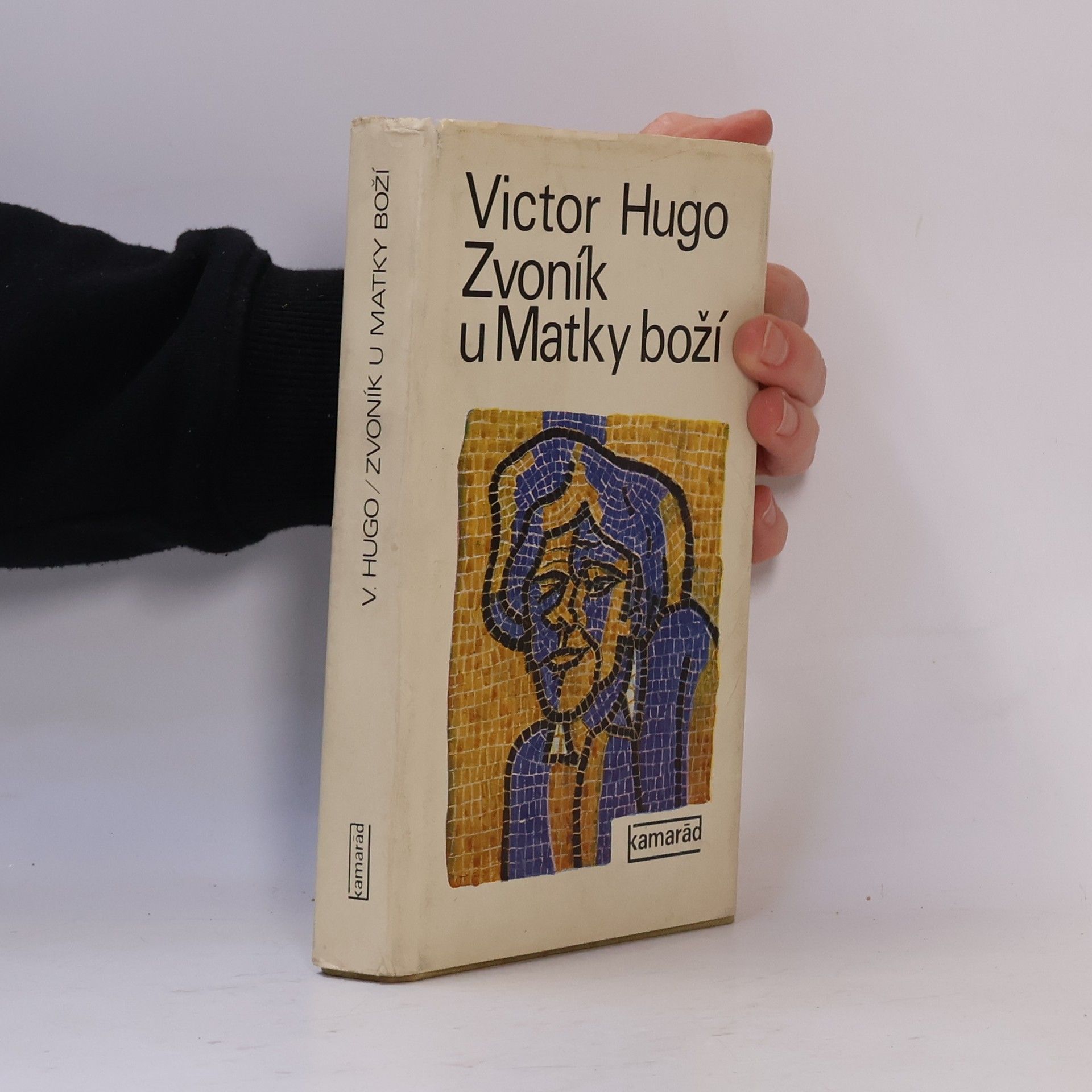 Victor Hugo Zvoník u Matky boží