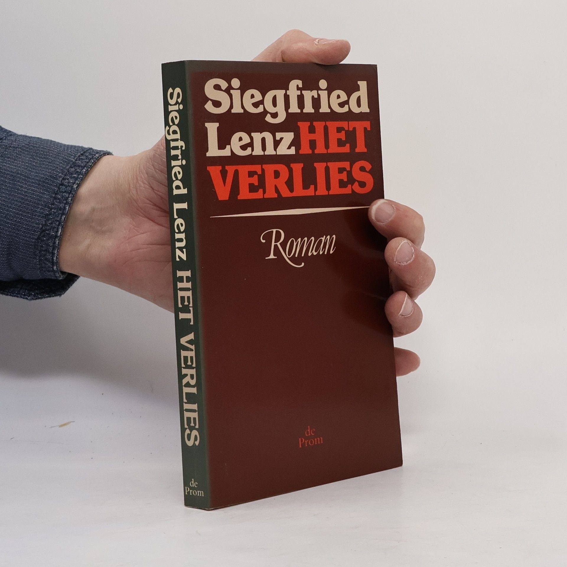 Siegfried Lenz Het verlies