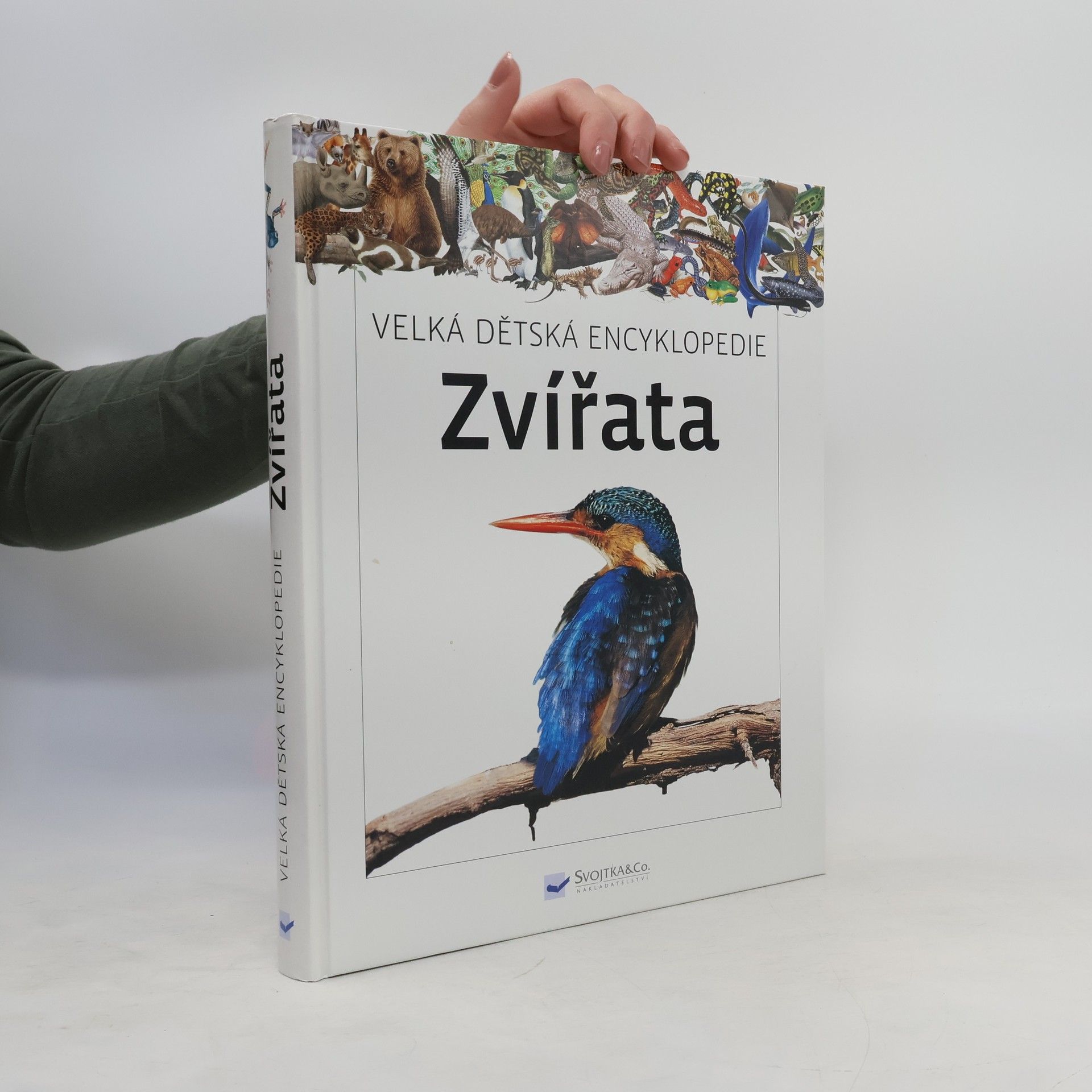 Autorenkollektiv Velká dětská encyklopedie: Zvířata