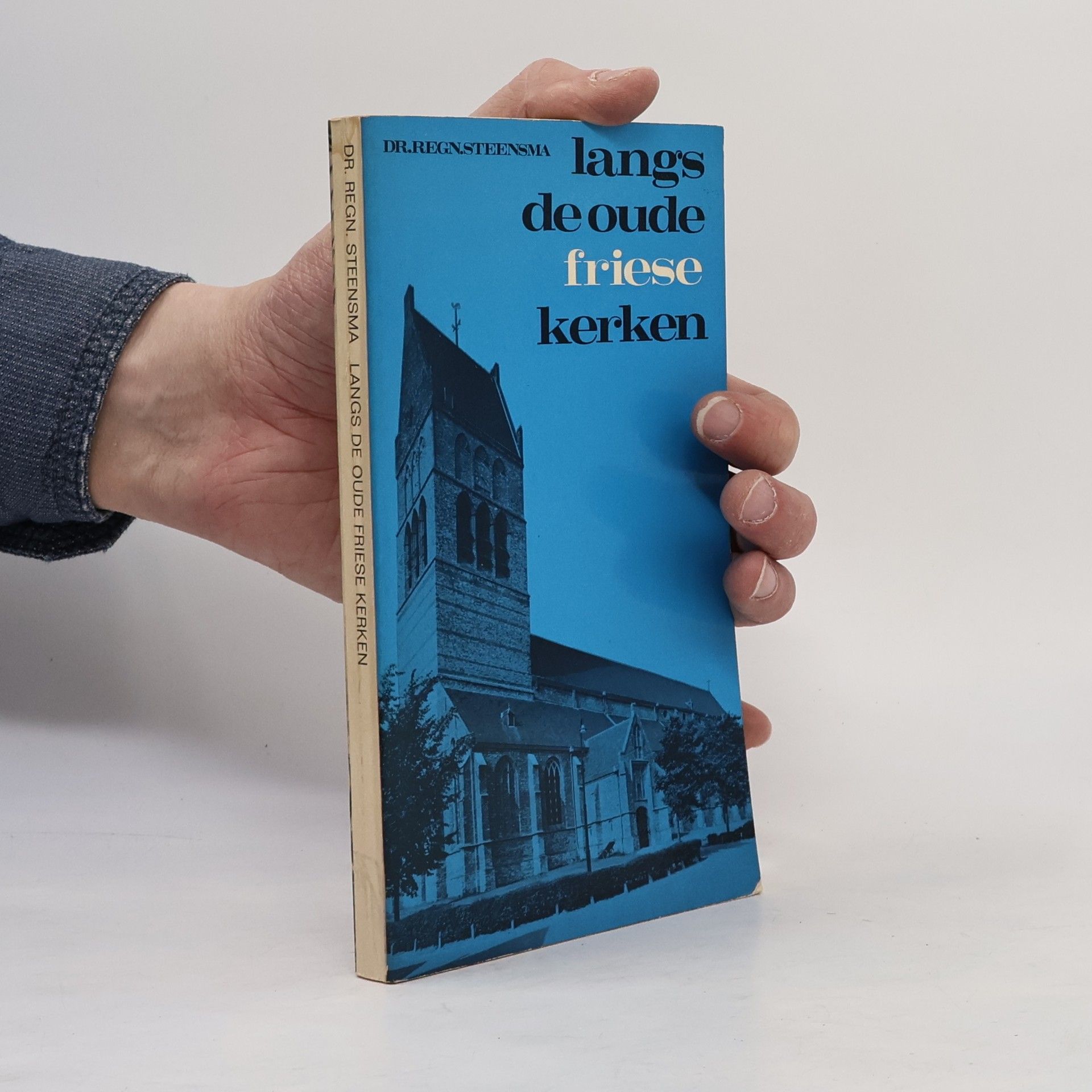 De oude Nederlandse kerken: Langs de oude Friese kerken