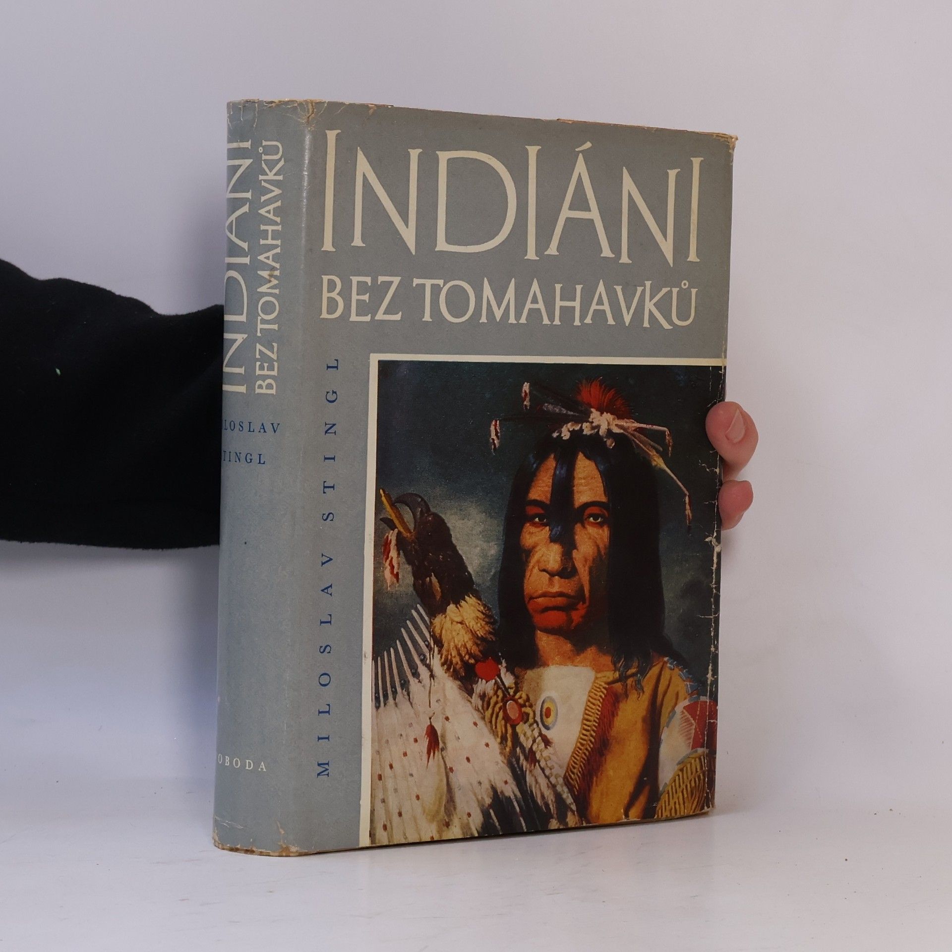 Miloslav Stingl Indiáni bez tomahavků