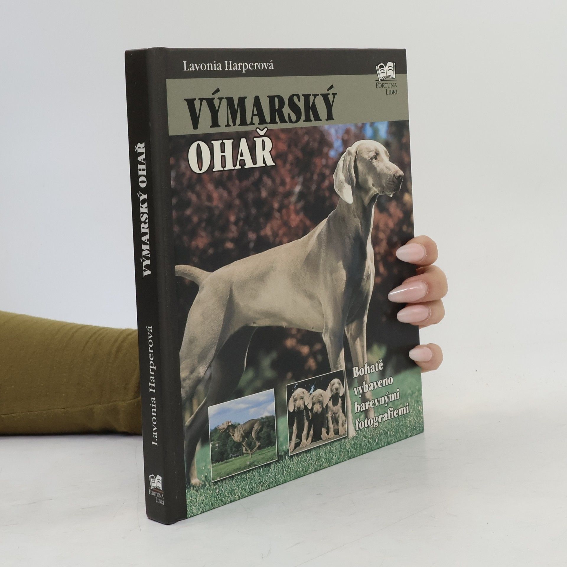 Lavonia Harper Výmarský ohař