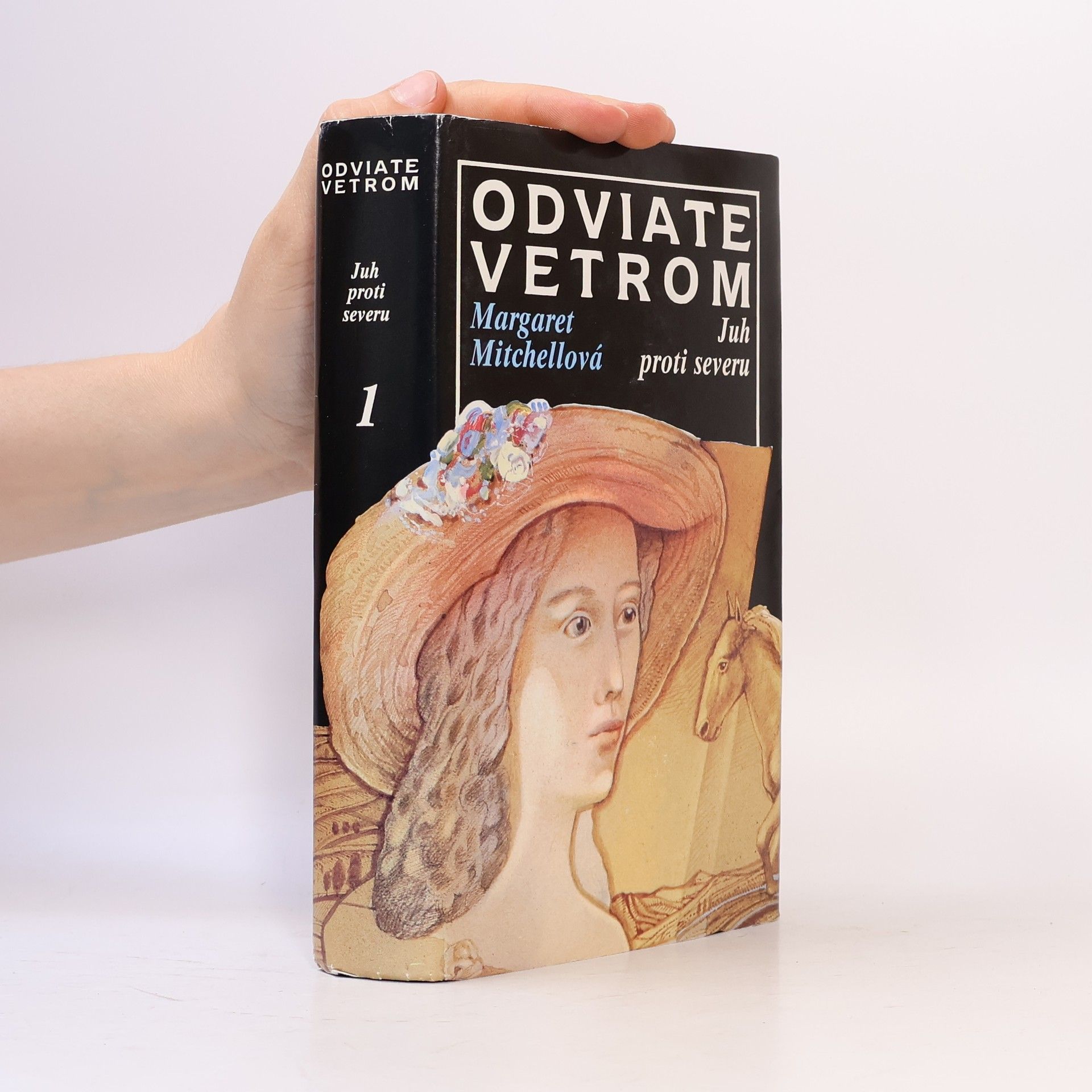 Margaret Mitchell Odviate vetrom 1. Juh proti severu