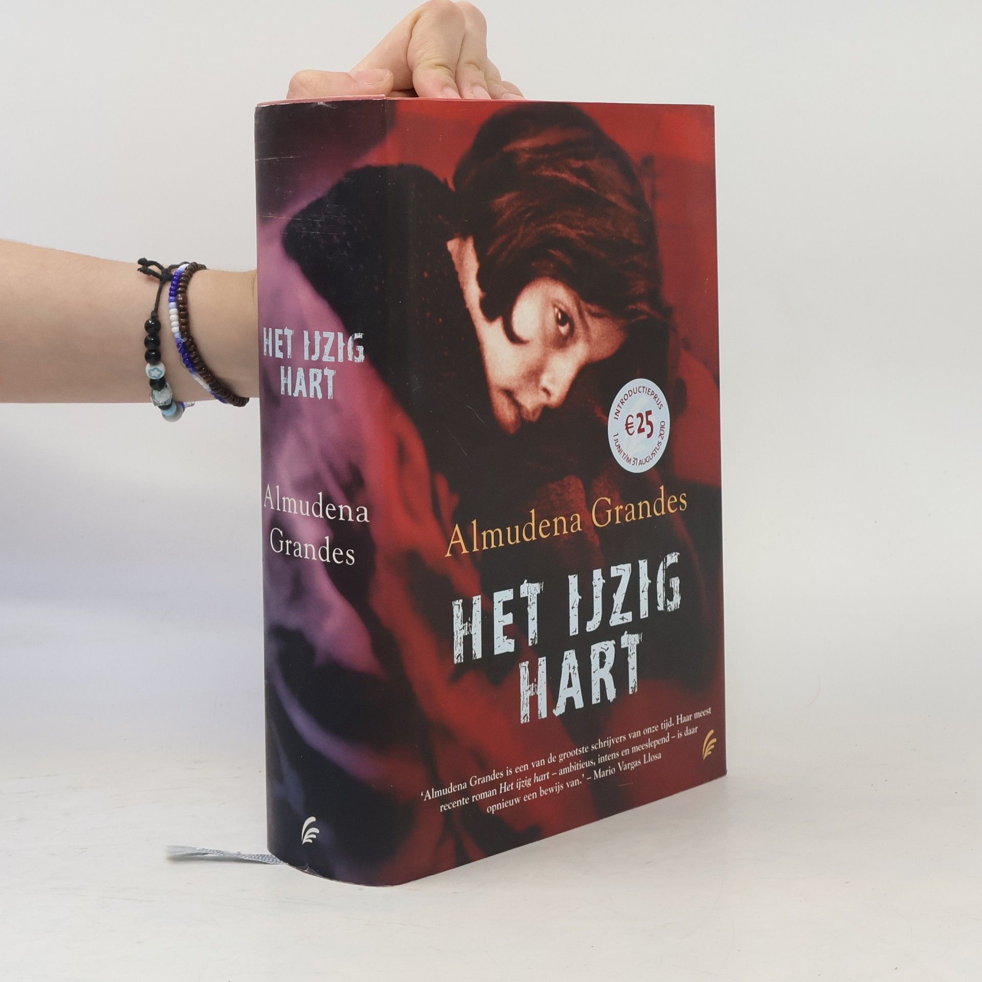 Almudena Grandes Het ijzig hart