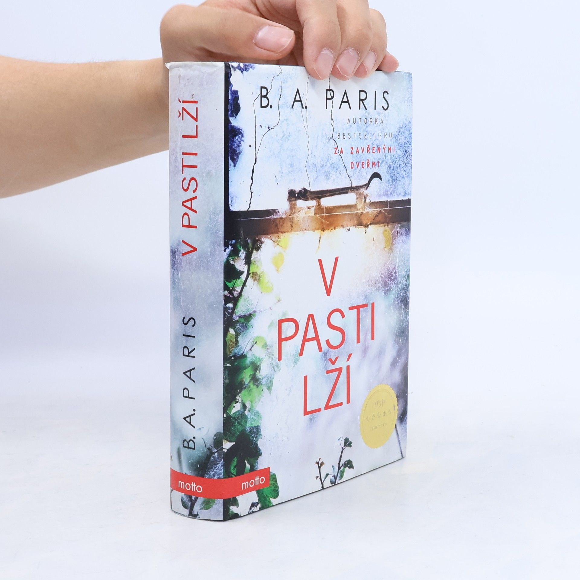 B. A. Paris V pasti lží