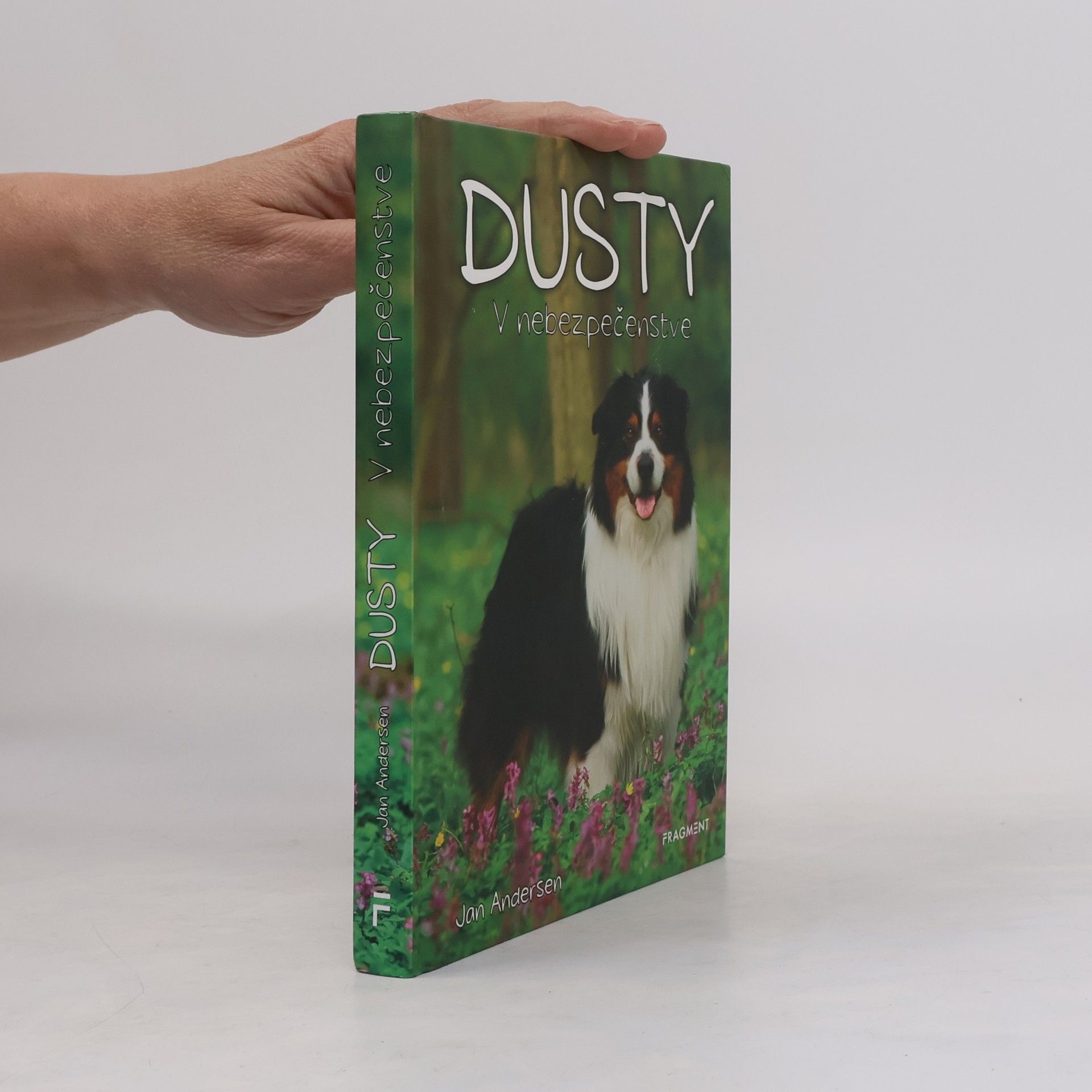 Wolfram Hänel Dusty: V nebezpečenstve