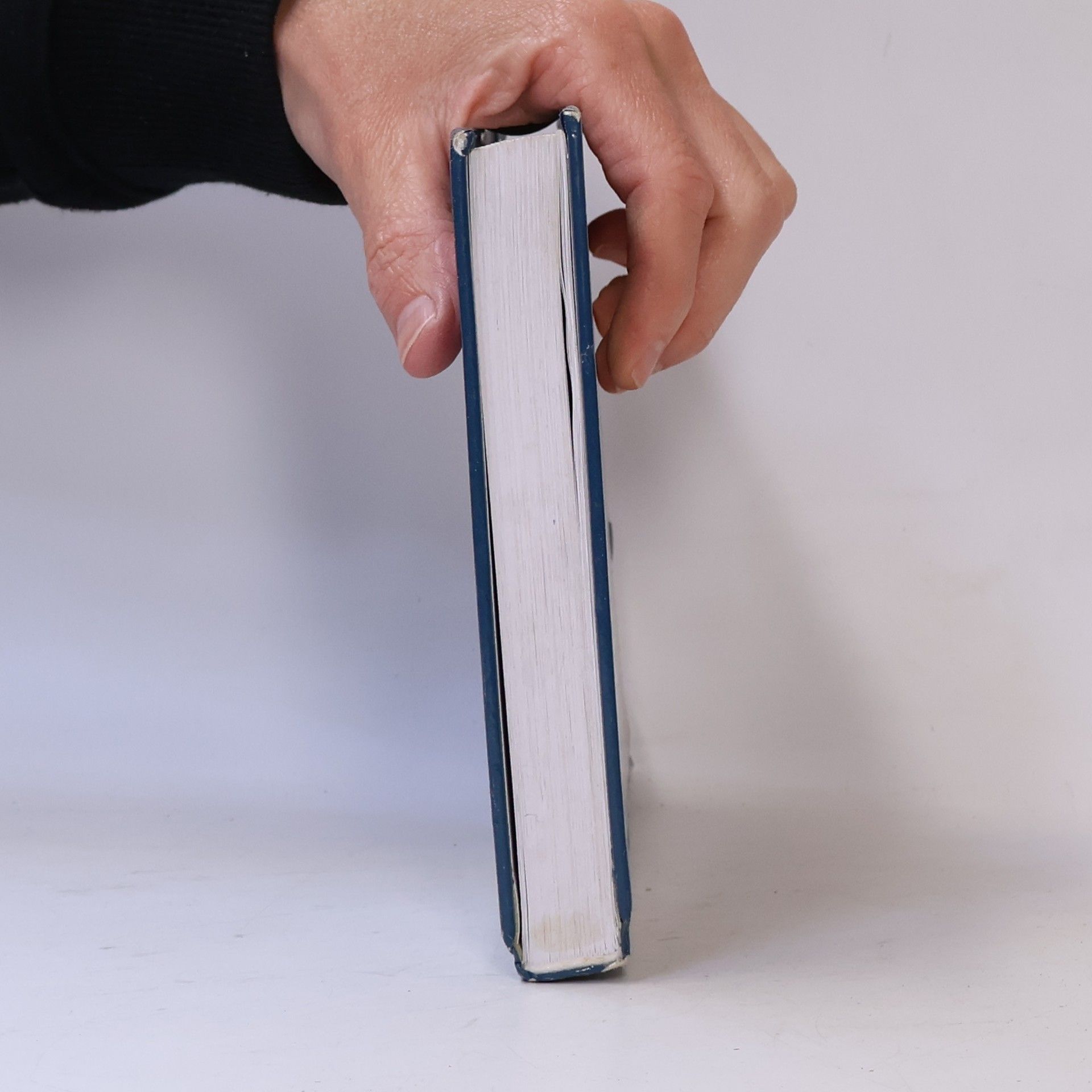 Magdalena Machátová Přehled psychologie
