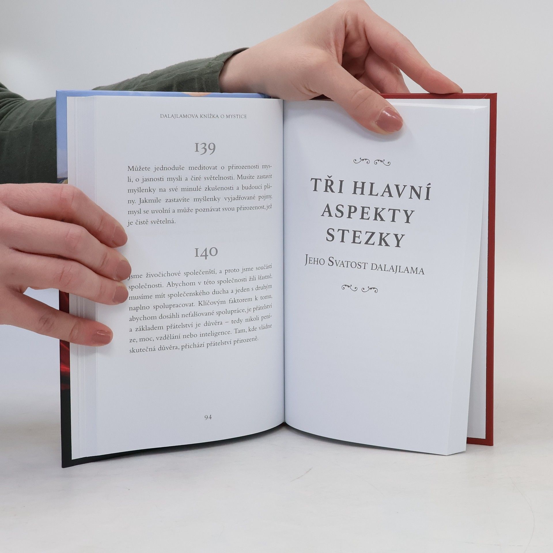Bstan\'dzinrgyamtsho Dalajlamova knížka o mystice: Základy učení