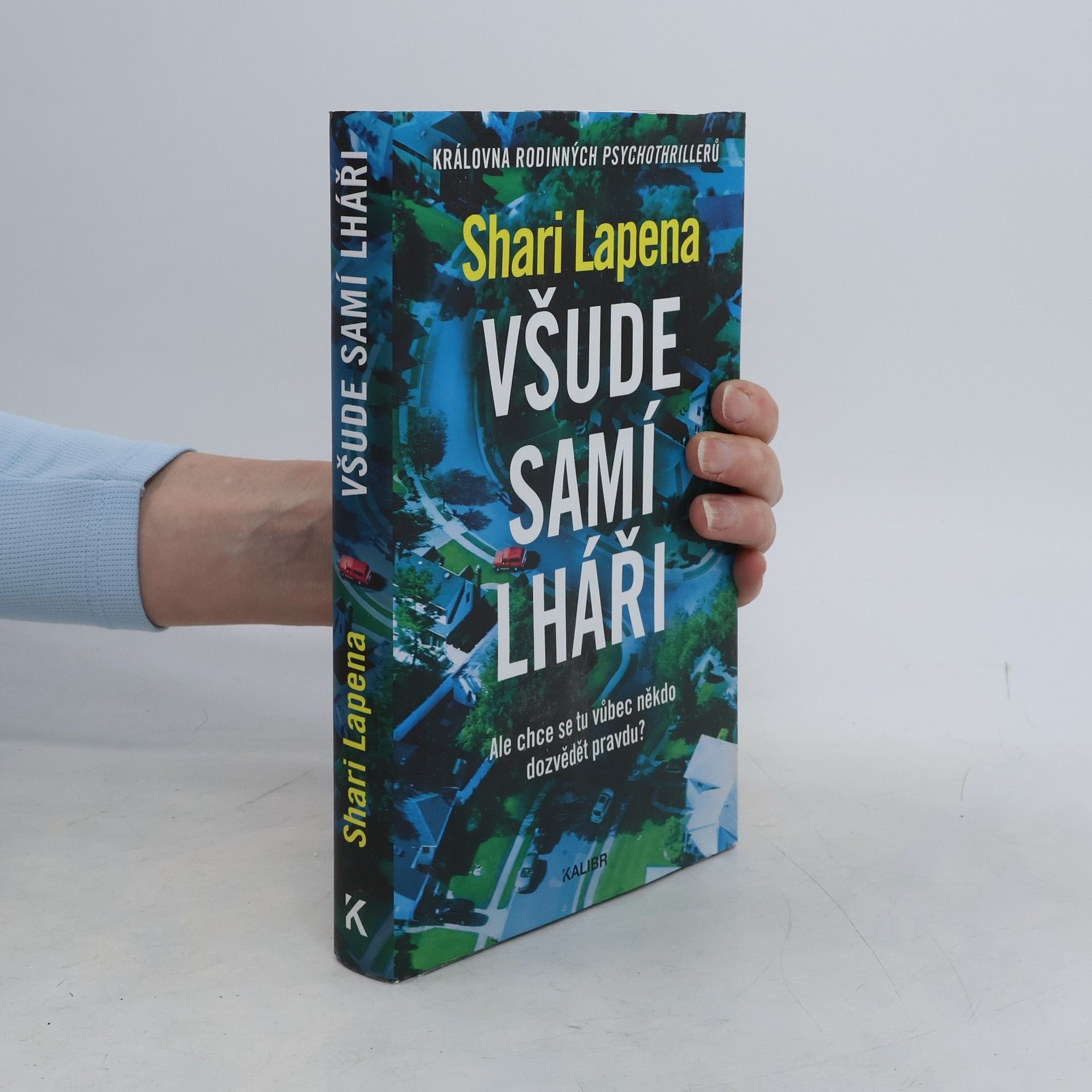 Shari Lapena Všude samí lháři
