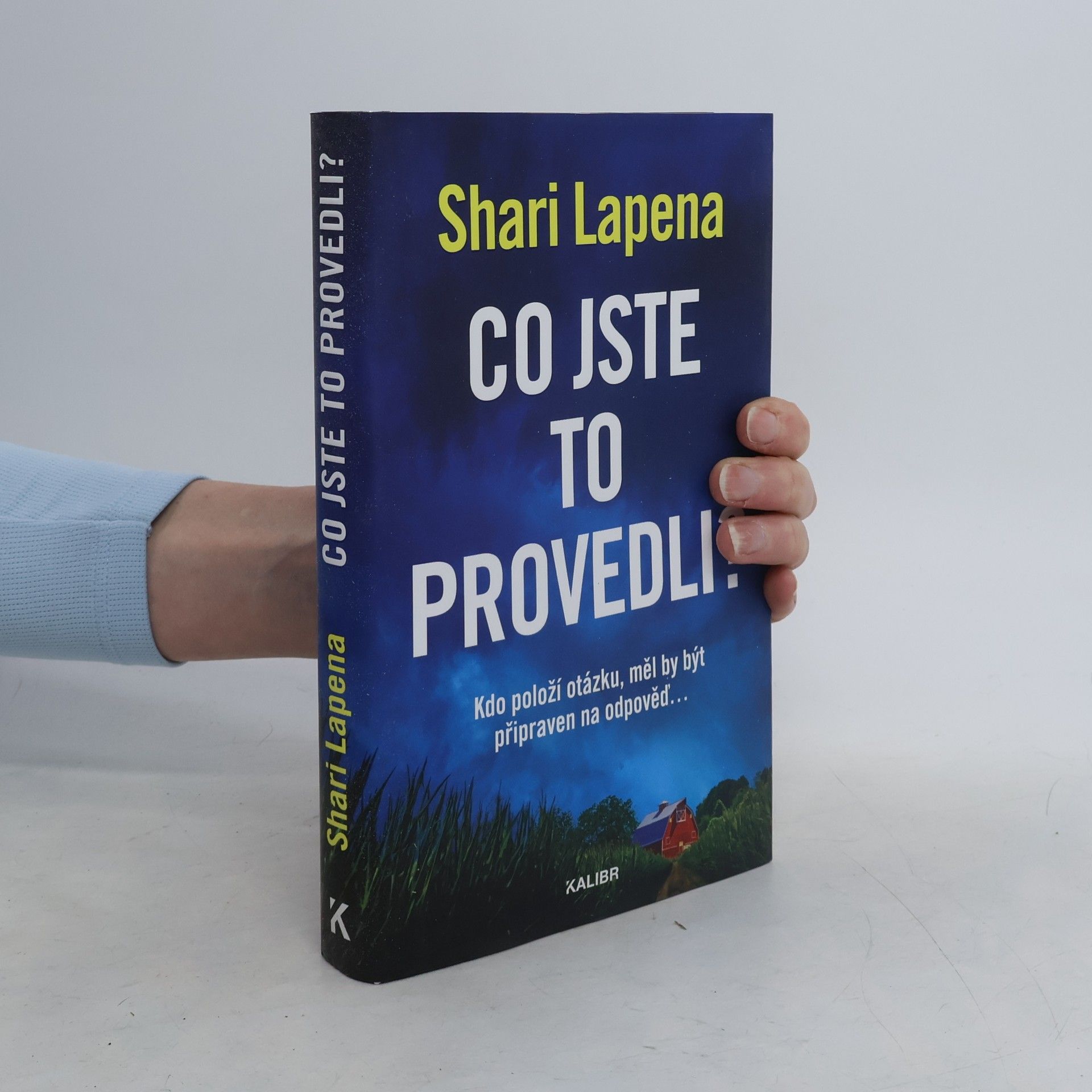 Shari Lapena Co jste to provedli?