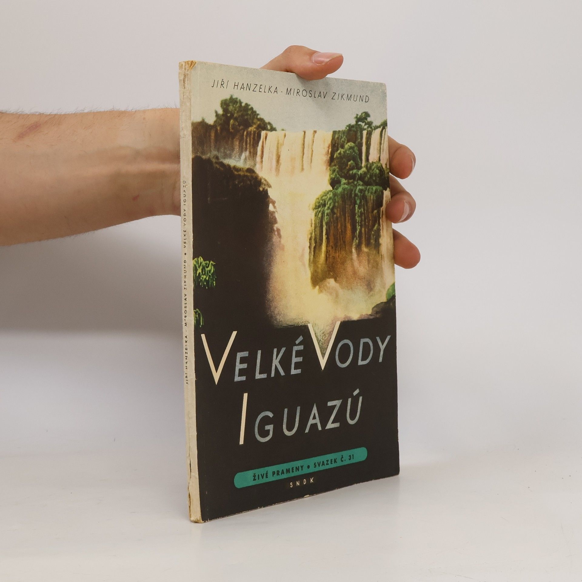 Velké vody Iguazú