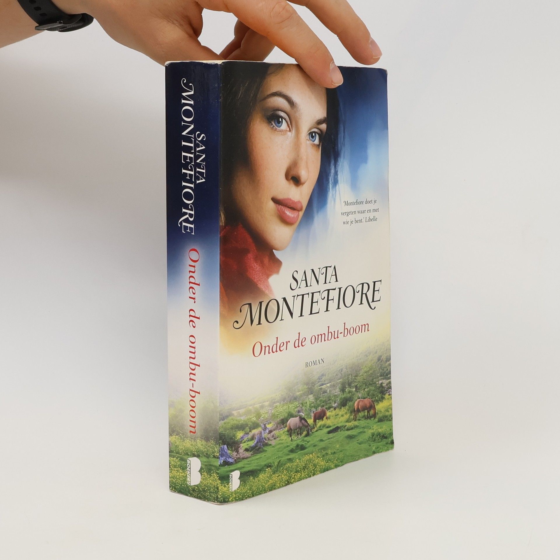 Santa Montefiore Onder de ombu-boom