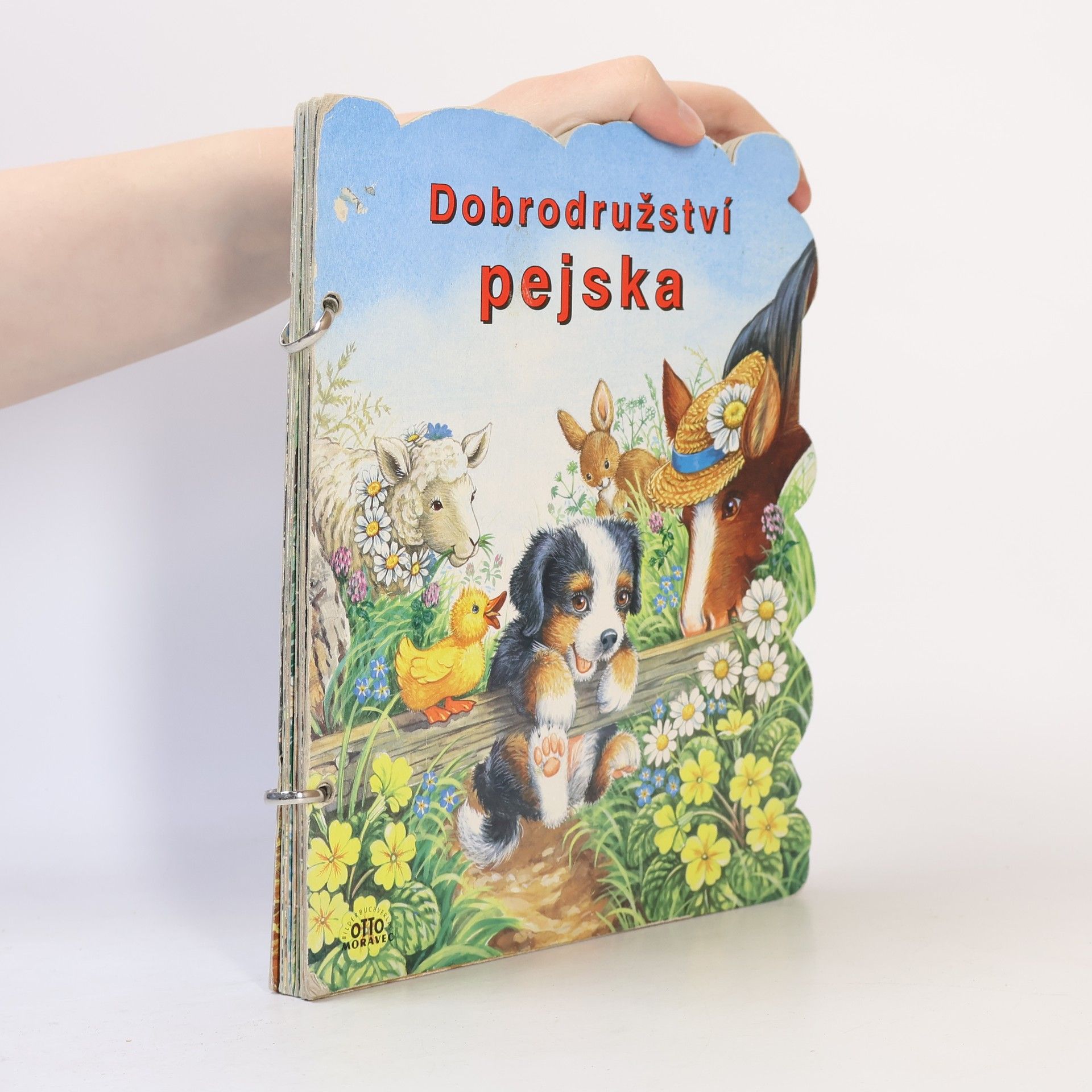 J. Vašíčková Dobrodružství pejska