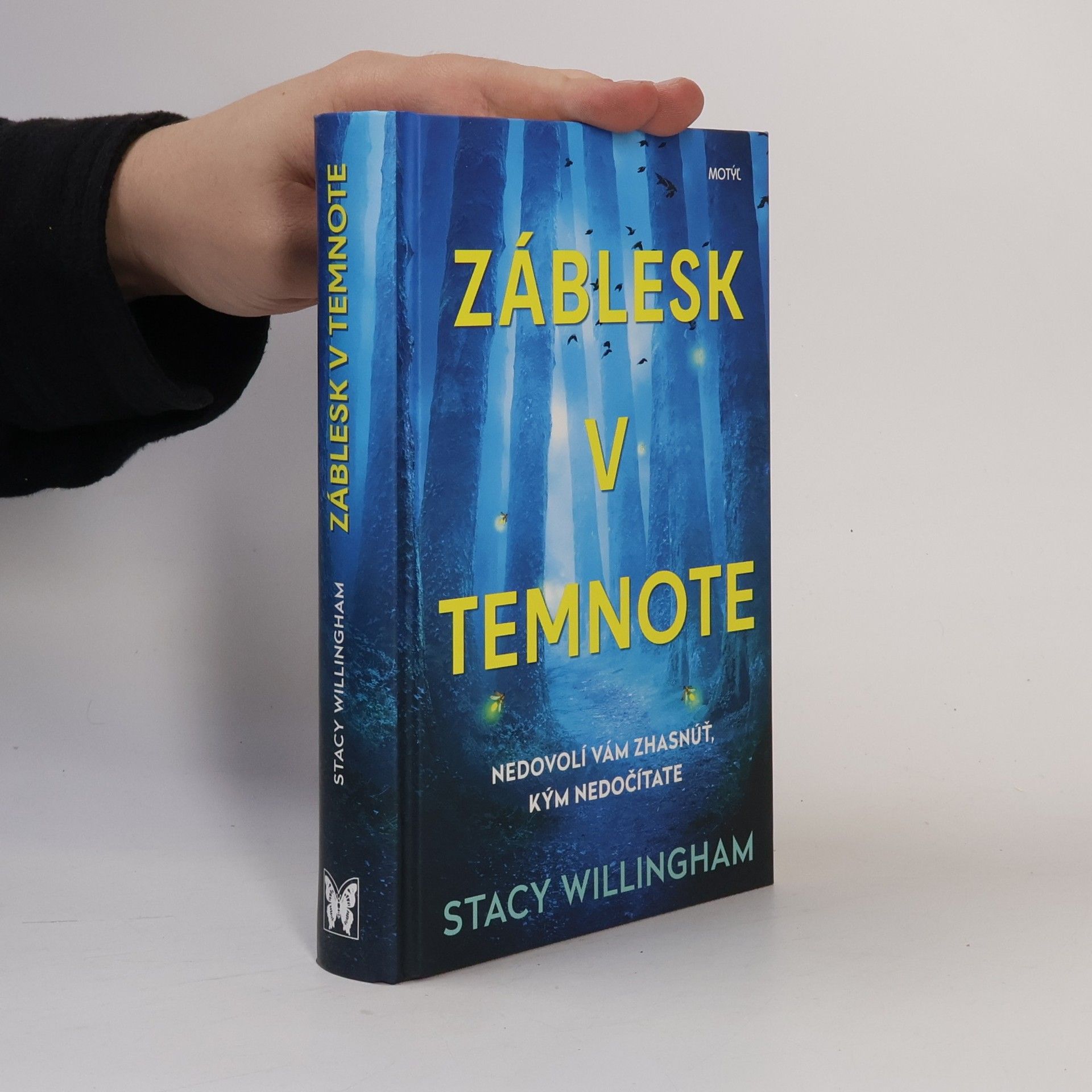 Stacy Willingham Záblesk v temnote