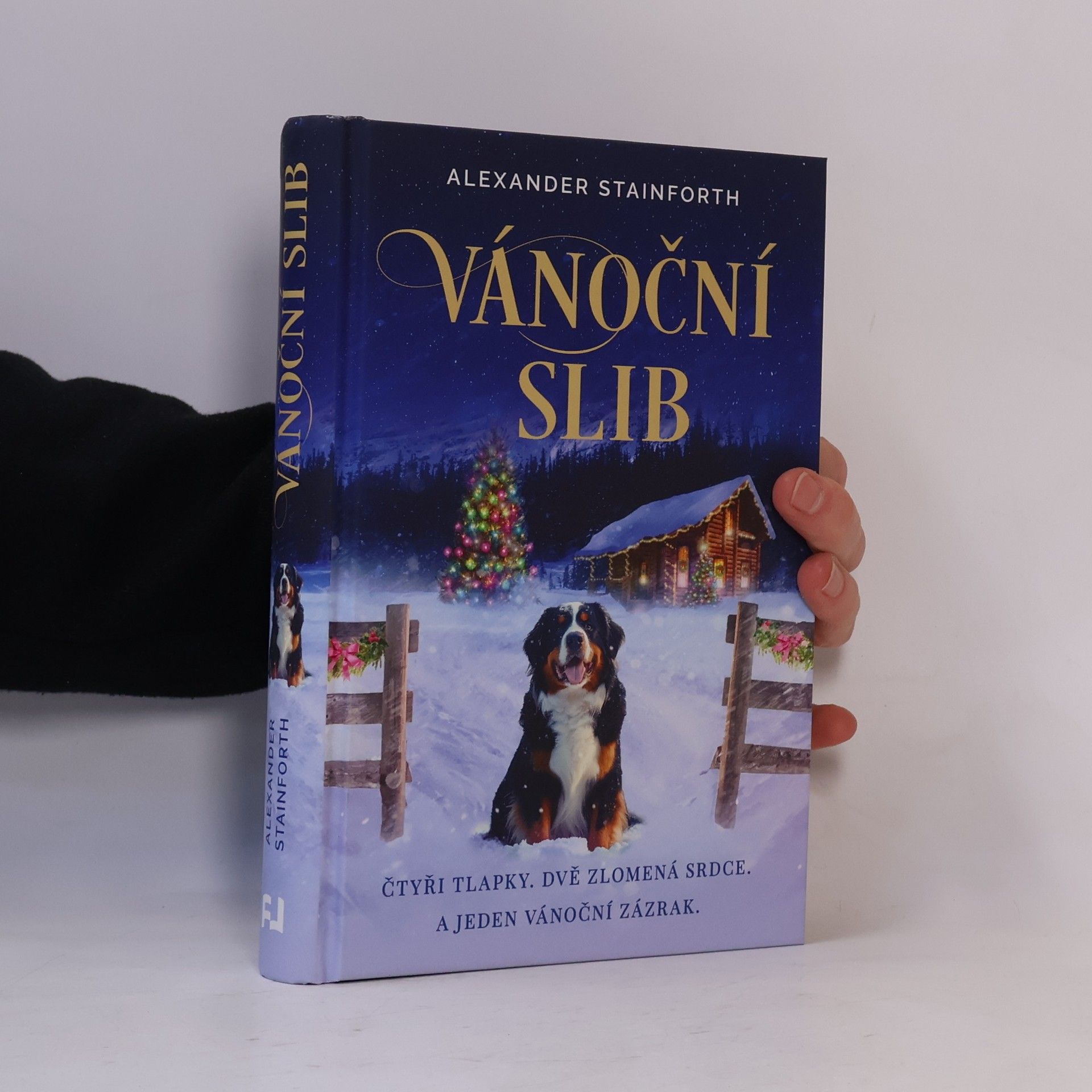 Alexander Stainforth Vánoční slib