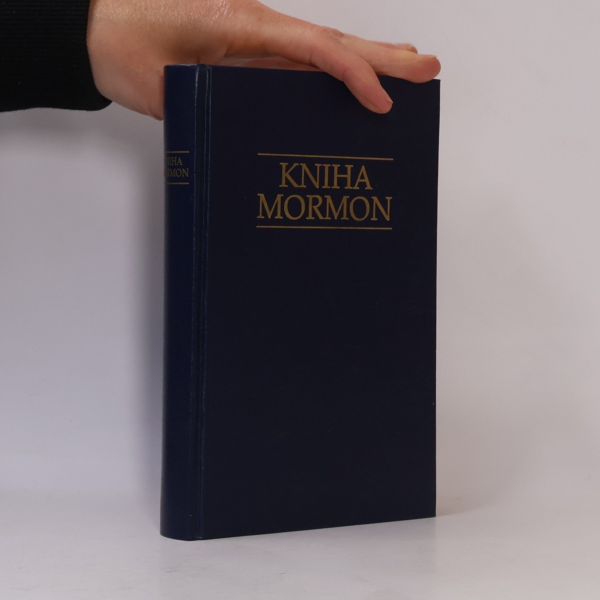 Kolektiv autorů Kniha Mormon