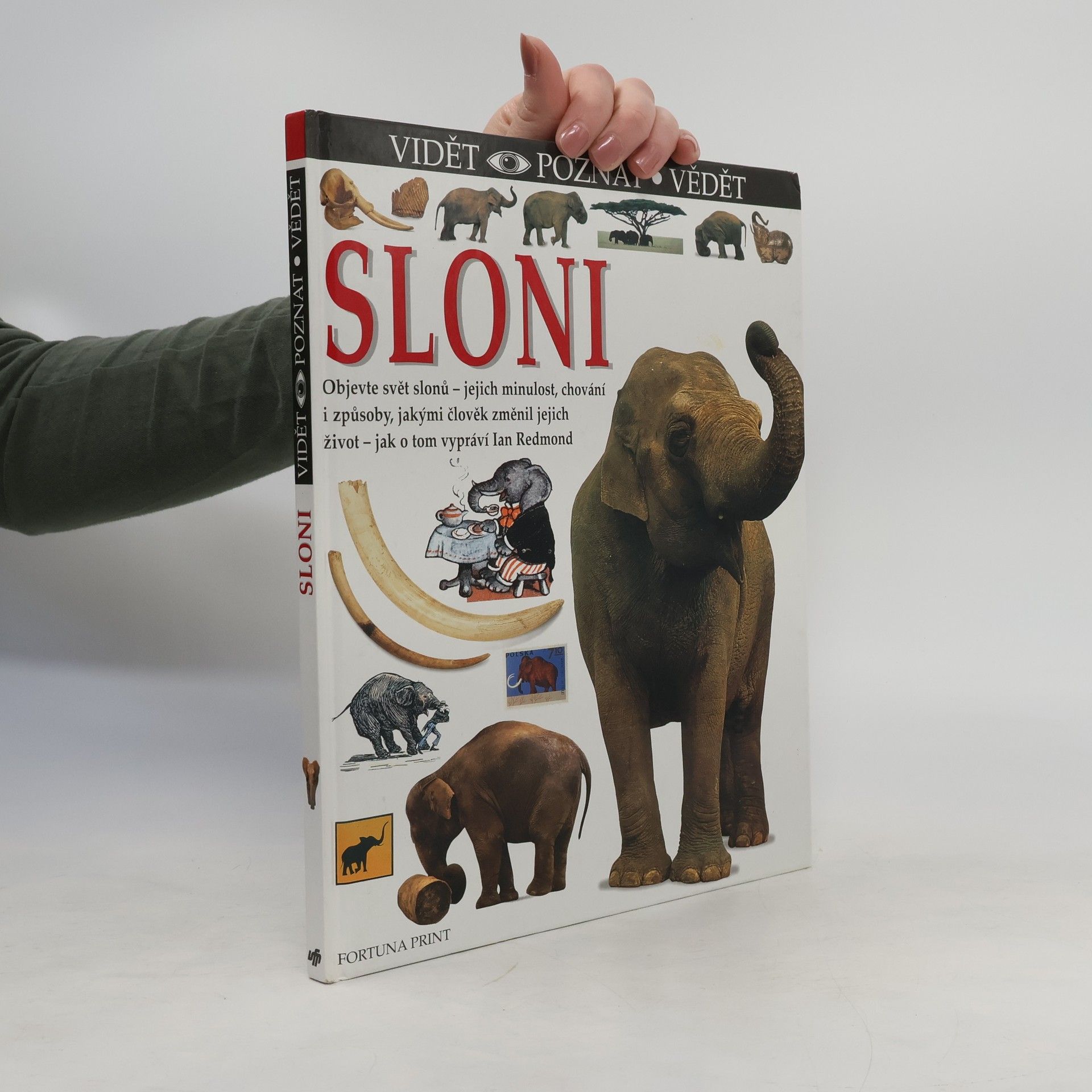 Ian Redmond Sloni