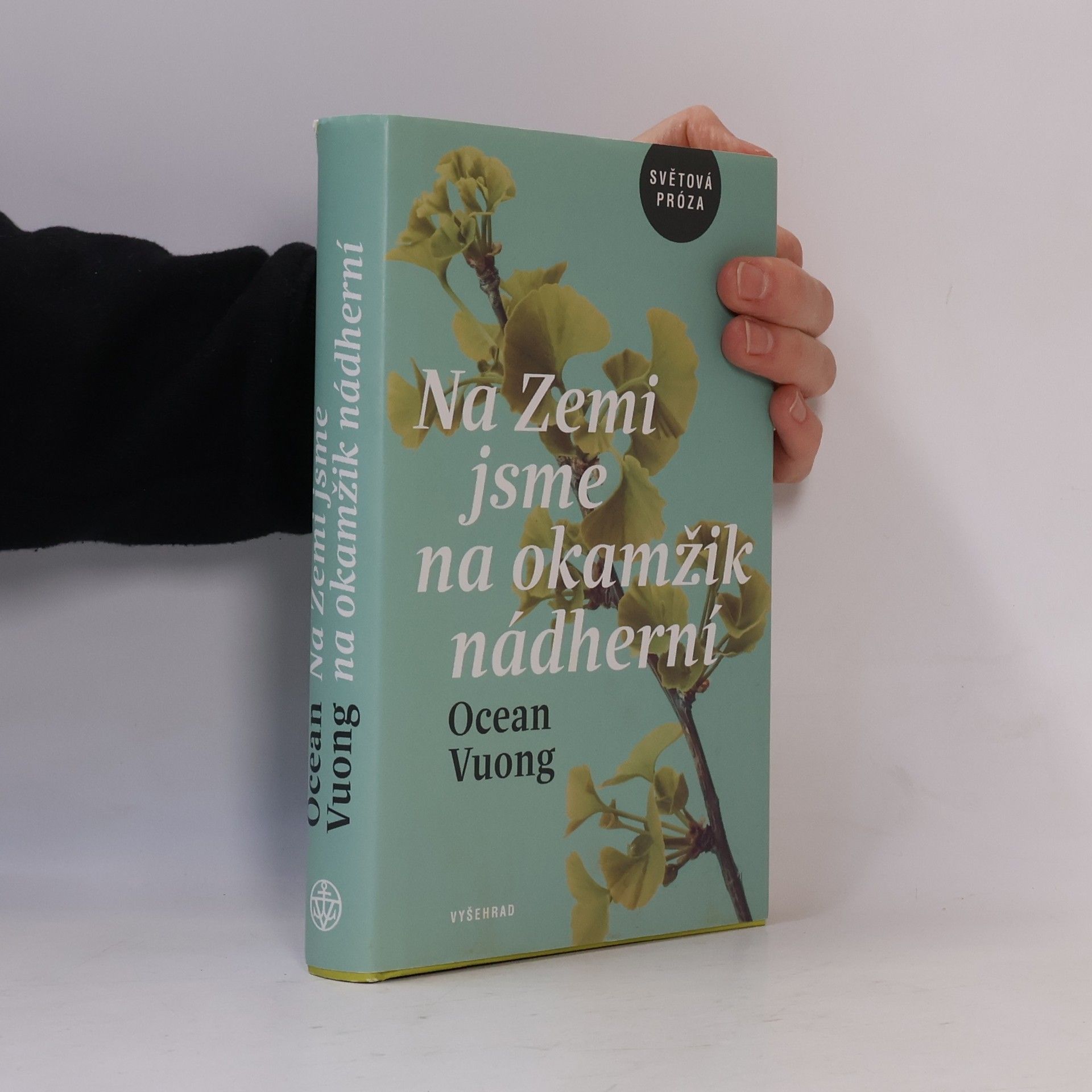 Ocean Vuong Na Zemi jsme na okamžik nádherní