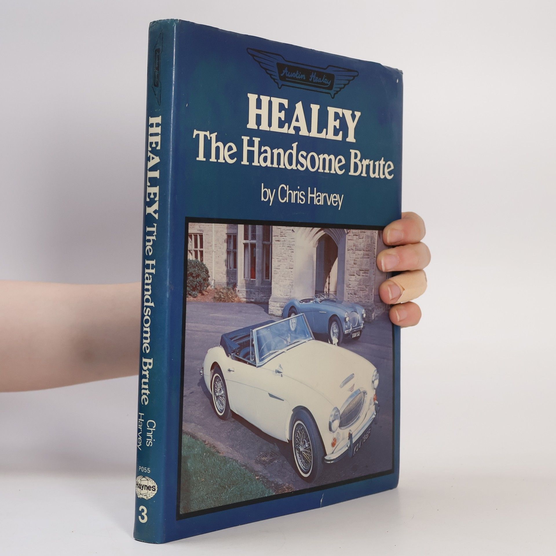 Chris Harvey Healey