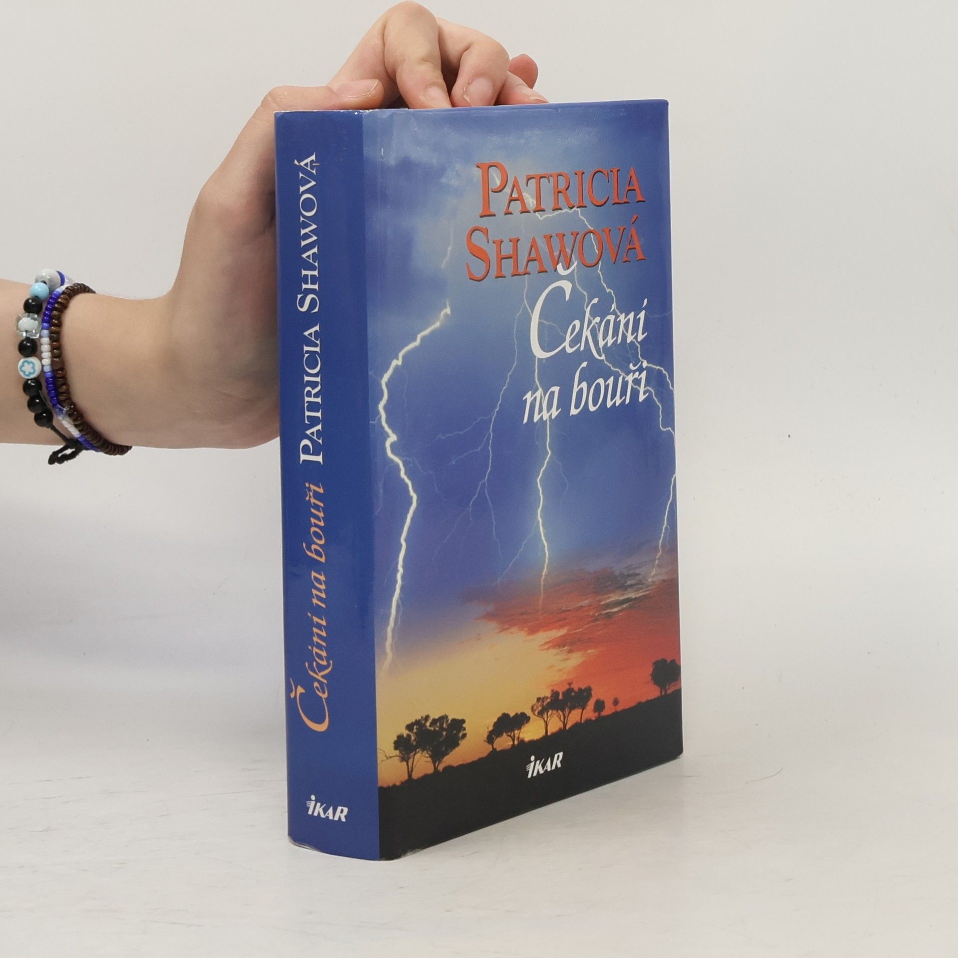 Patricia Shaw Čekání na bouři