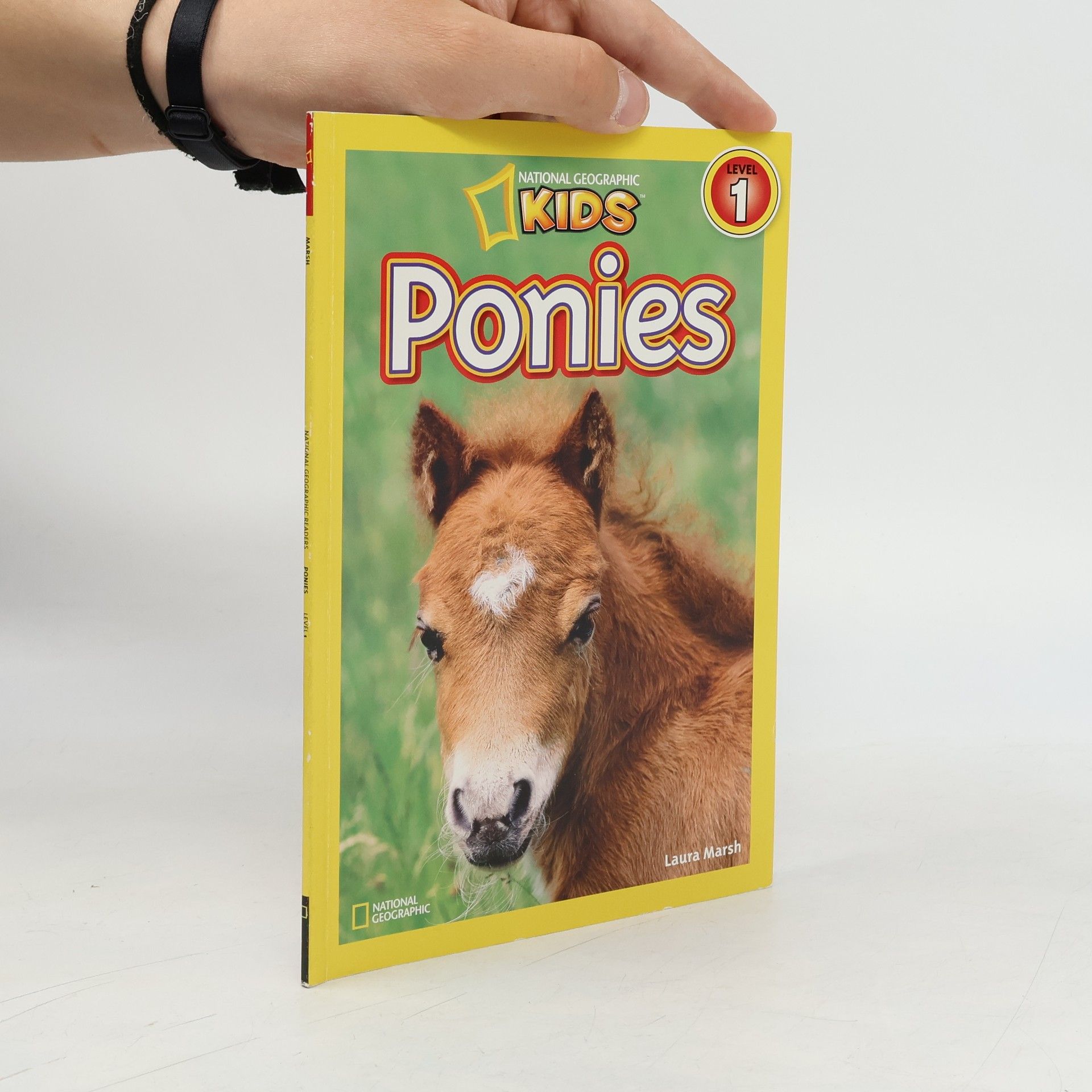 Laura F. Marsh Ponies