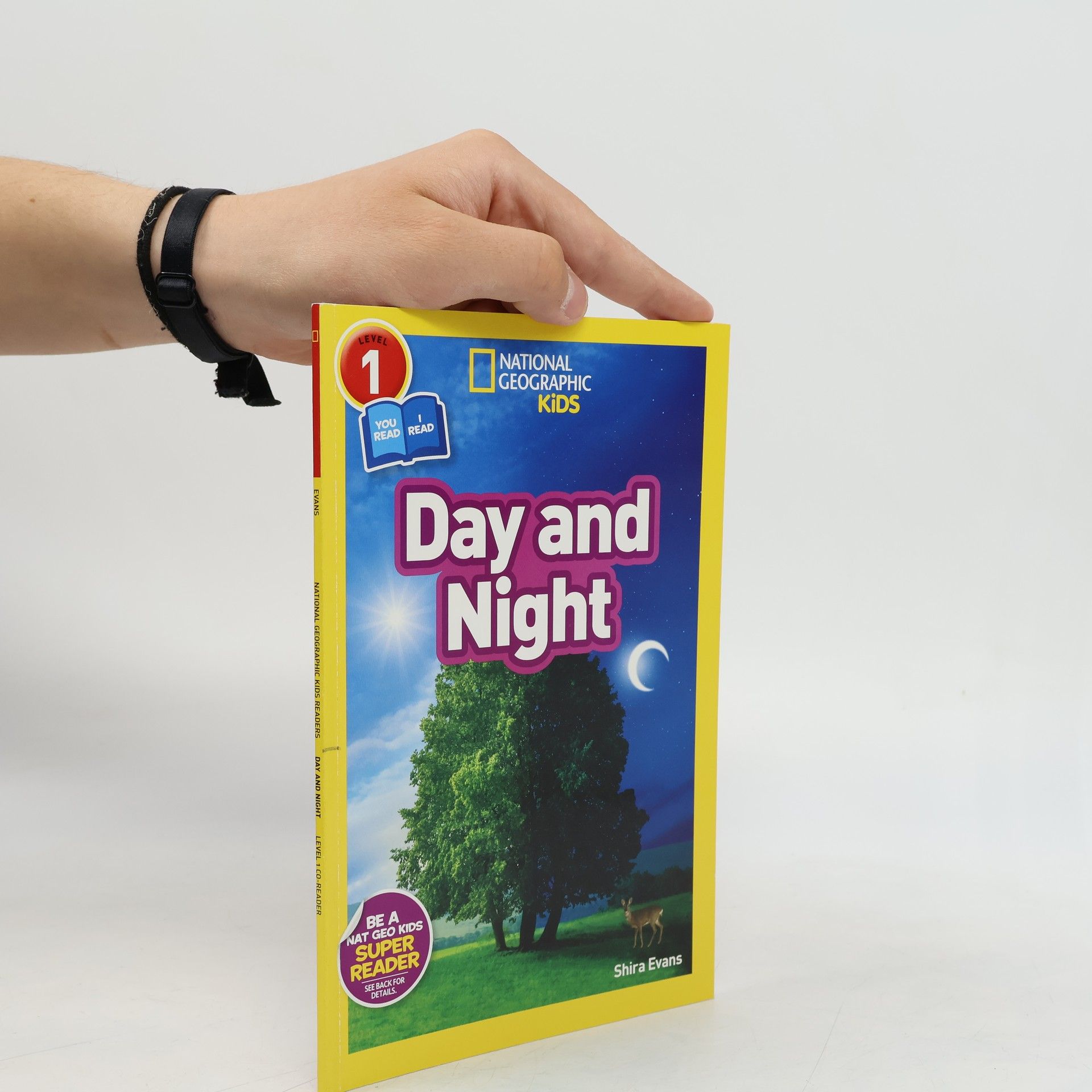 Shira Evans Day and Night