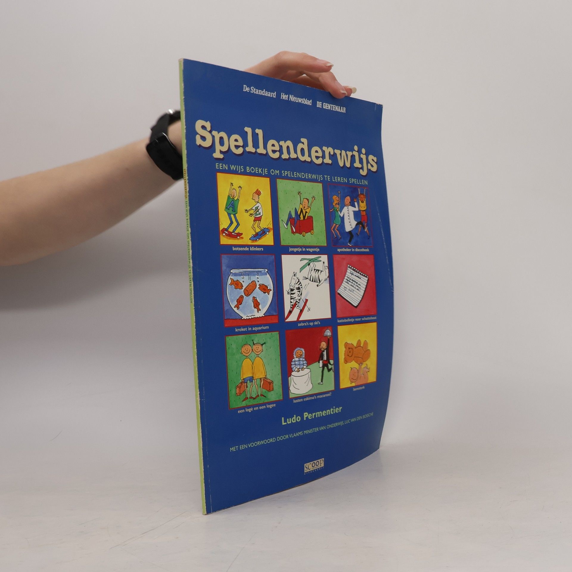 Luc Van Den Bossche Spellenderwijs
