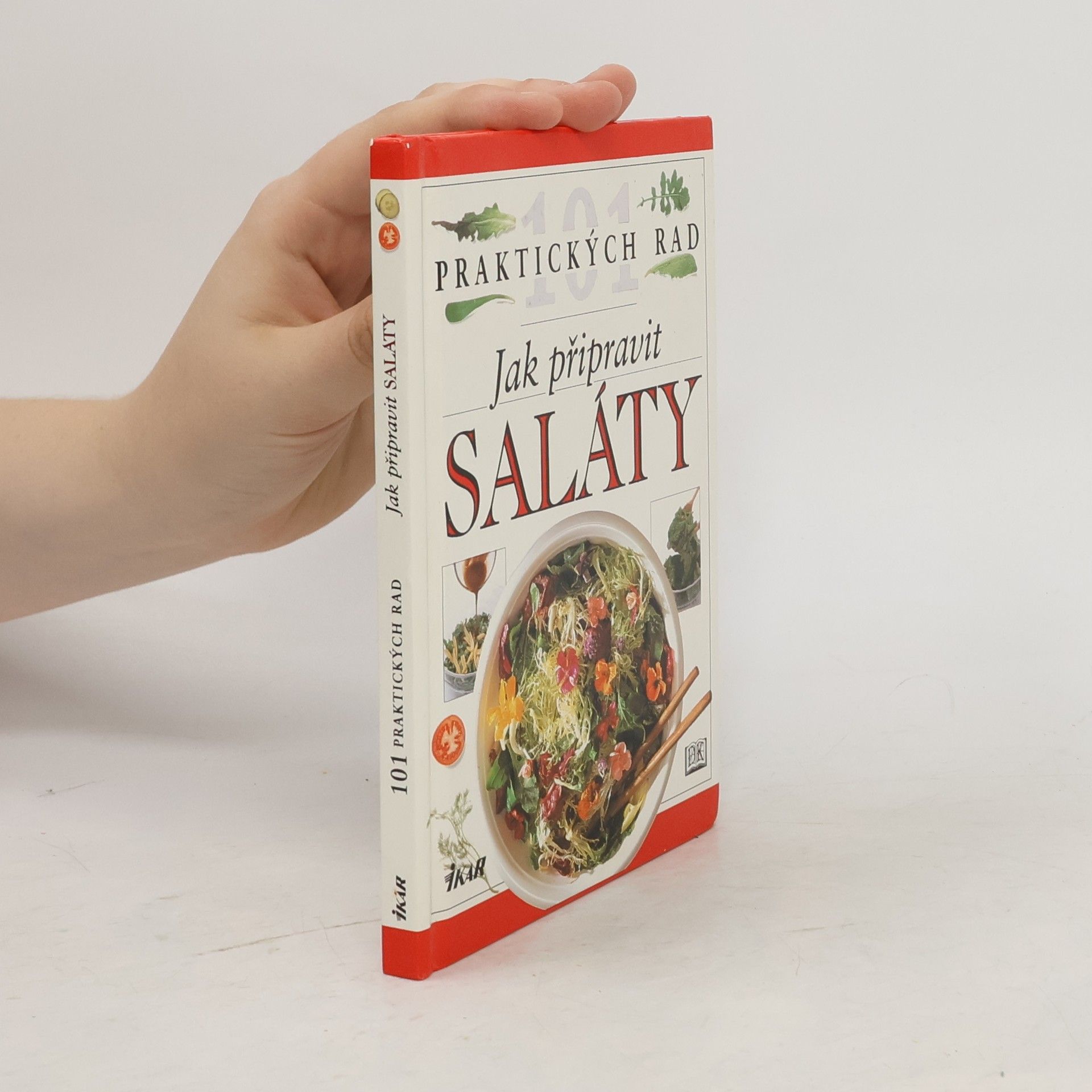 Anne Willan Jak připravit saláty