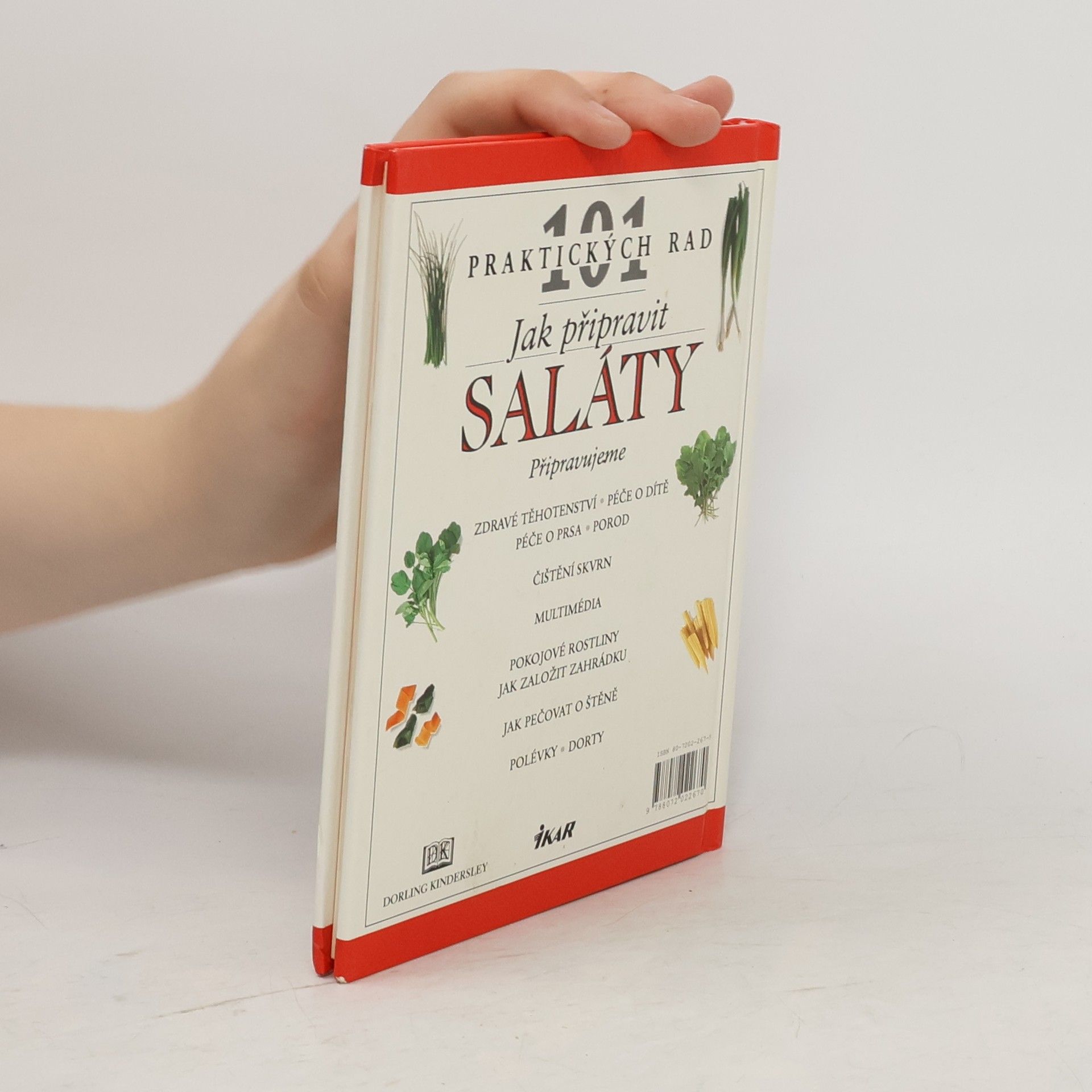 Anne Willan Jak připravit saláty
