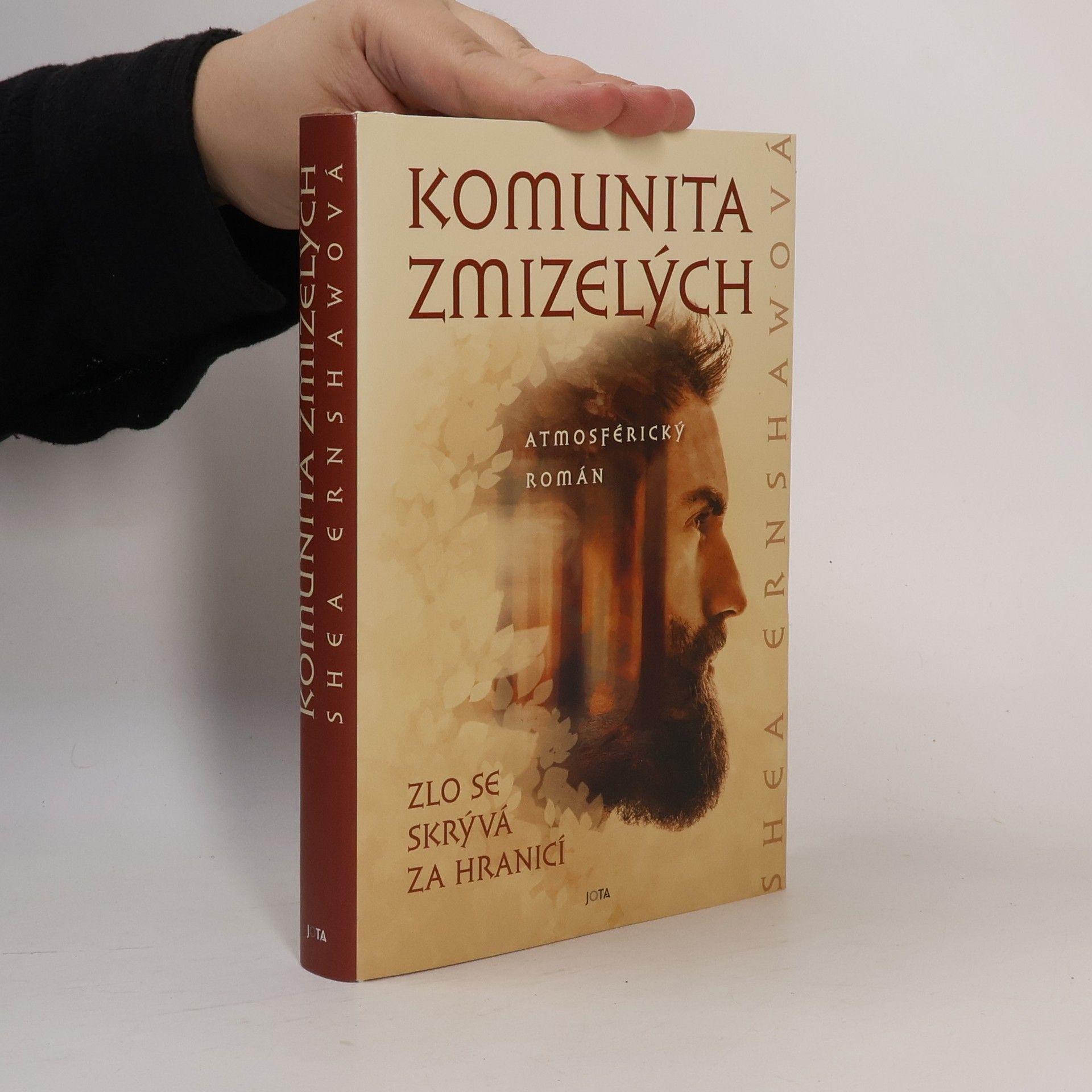 Shea Ernshaw Komunita zmizelých