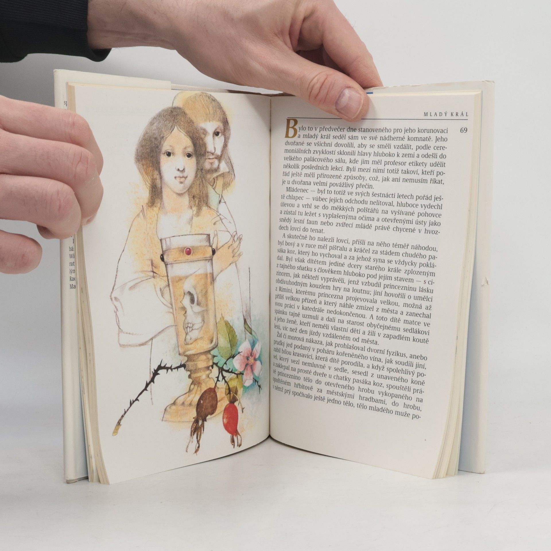 Oscar Wilde Šťastný princ a jiné pohádky