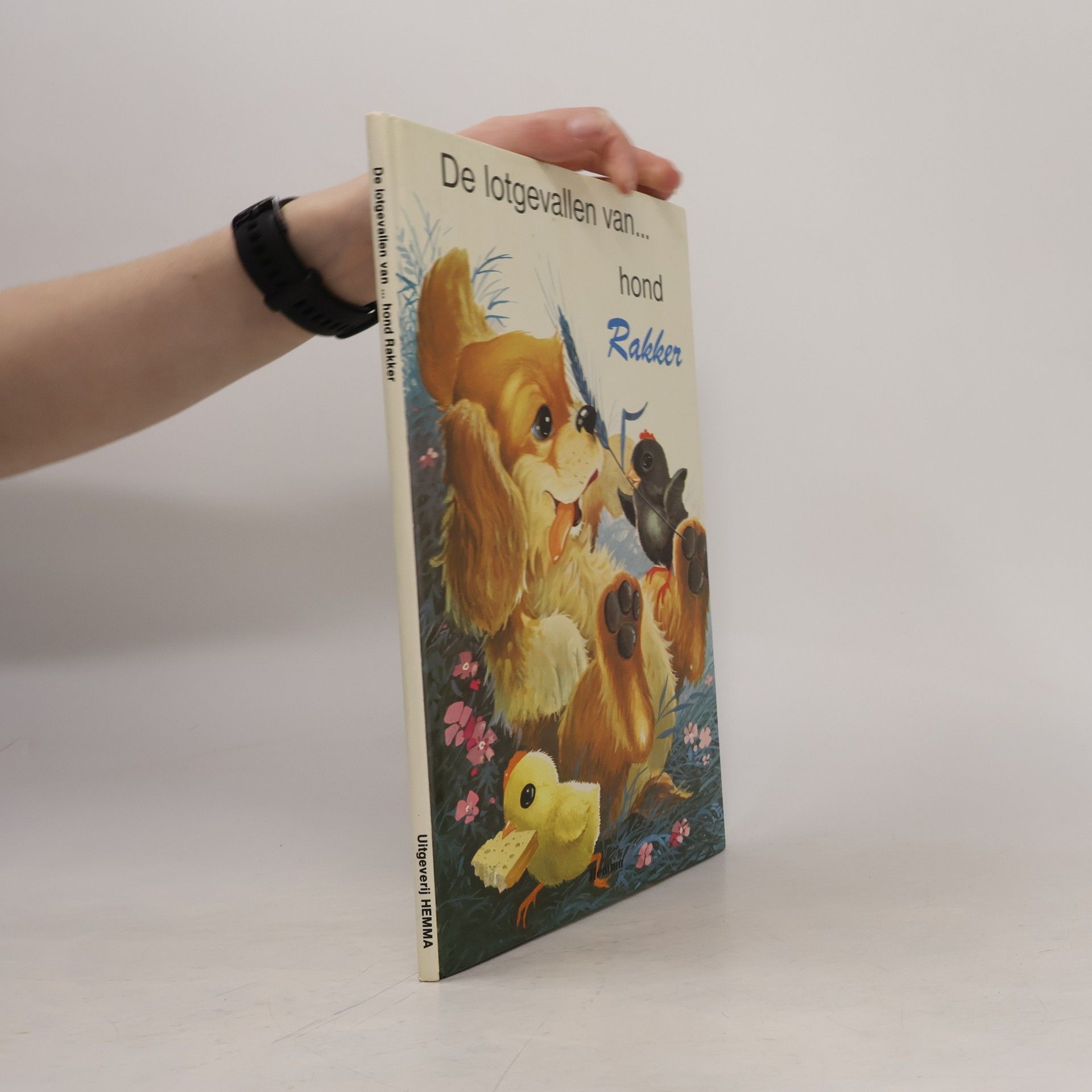 Autorenkollektiv De lotgevallen van... hond Rakker