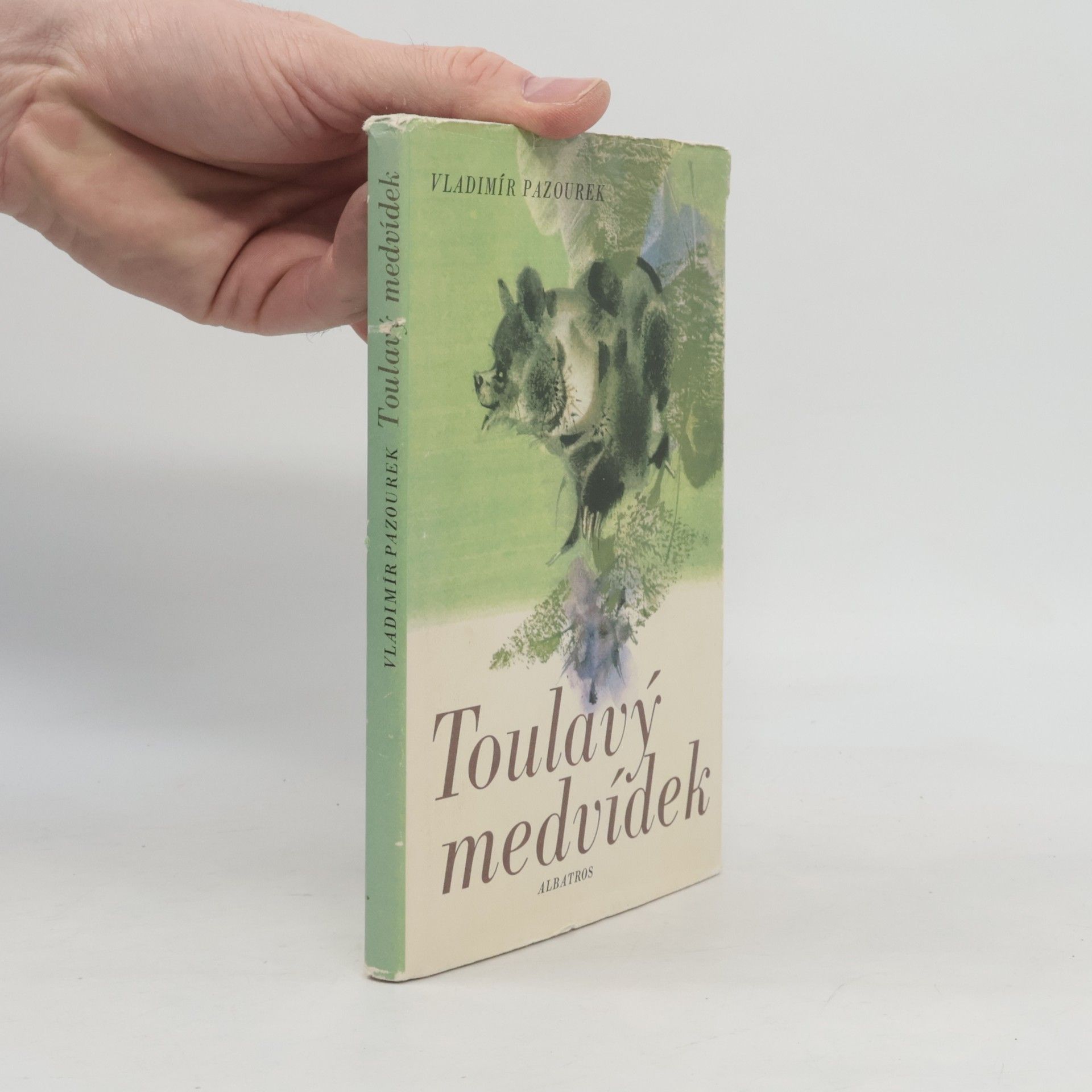 Vladimír Pazourek Toulavý medvídek