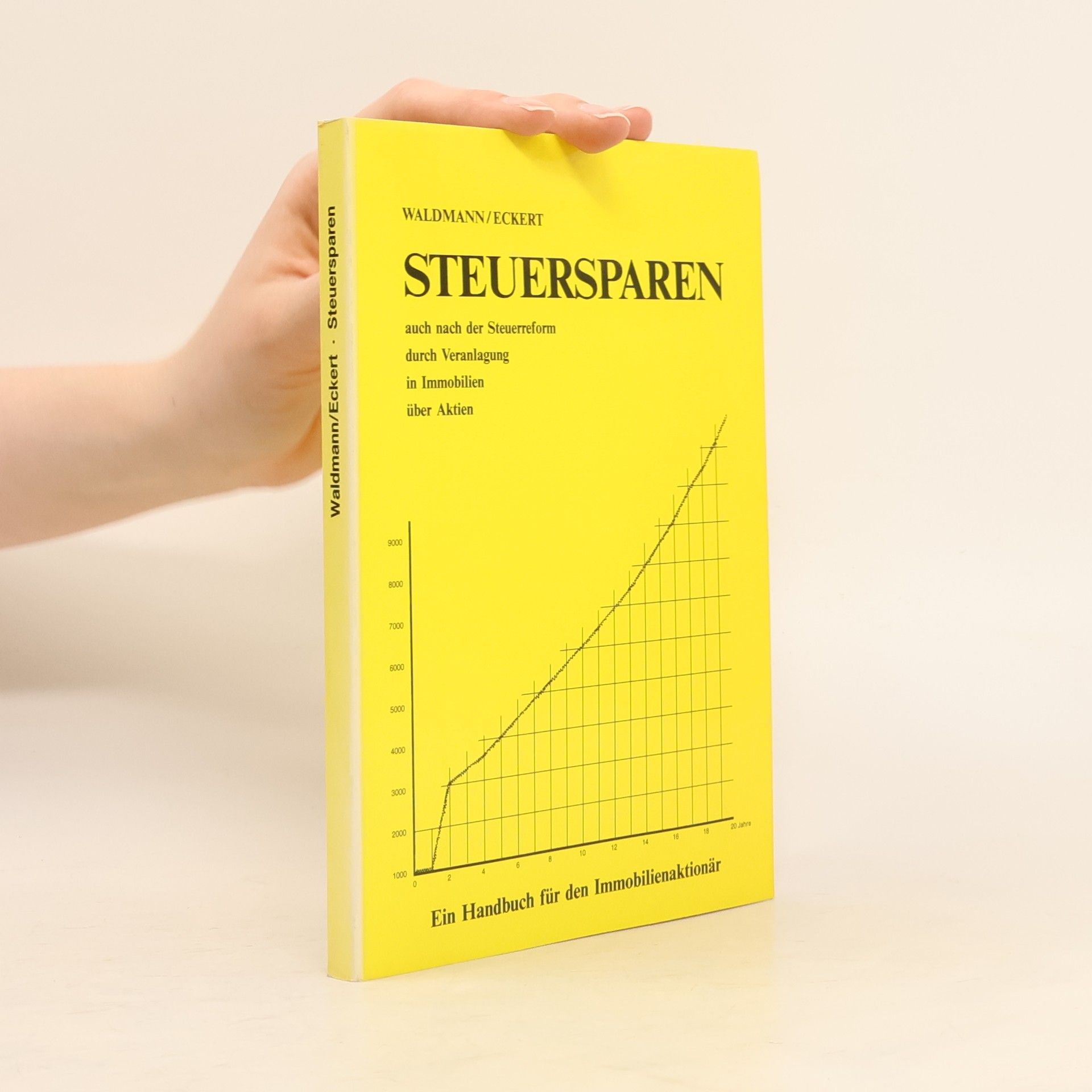 Kolektiv autorů Steuersparen