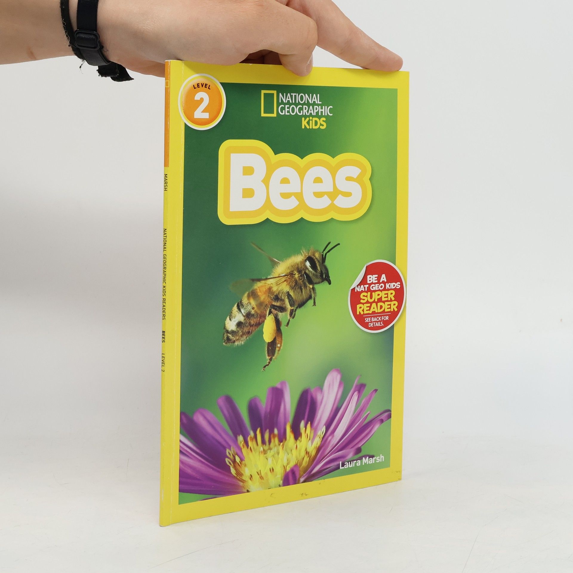 National Geographic Kids Staff Bees