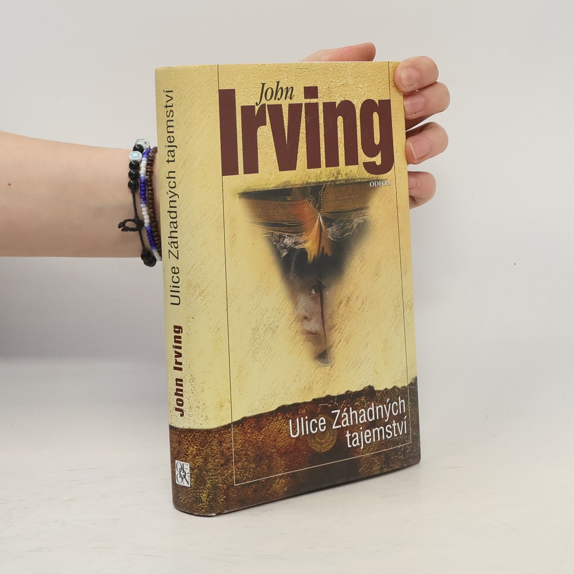 John Irving Ulice Záhadných tajemství