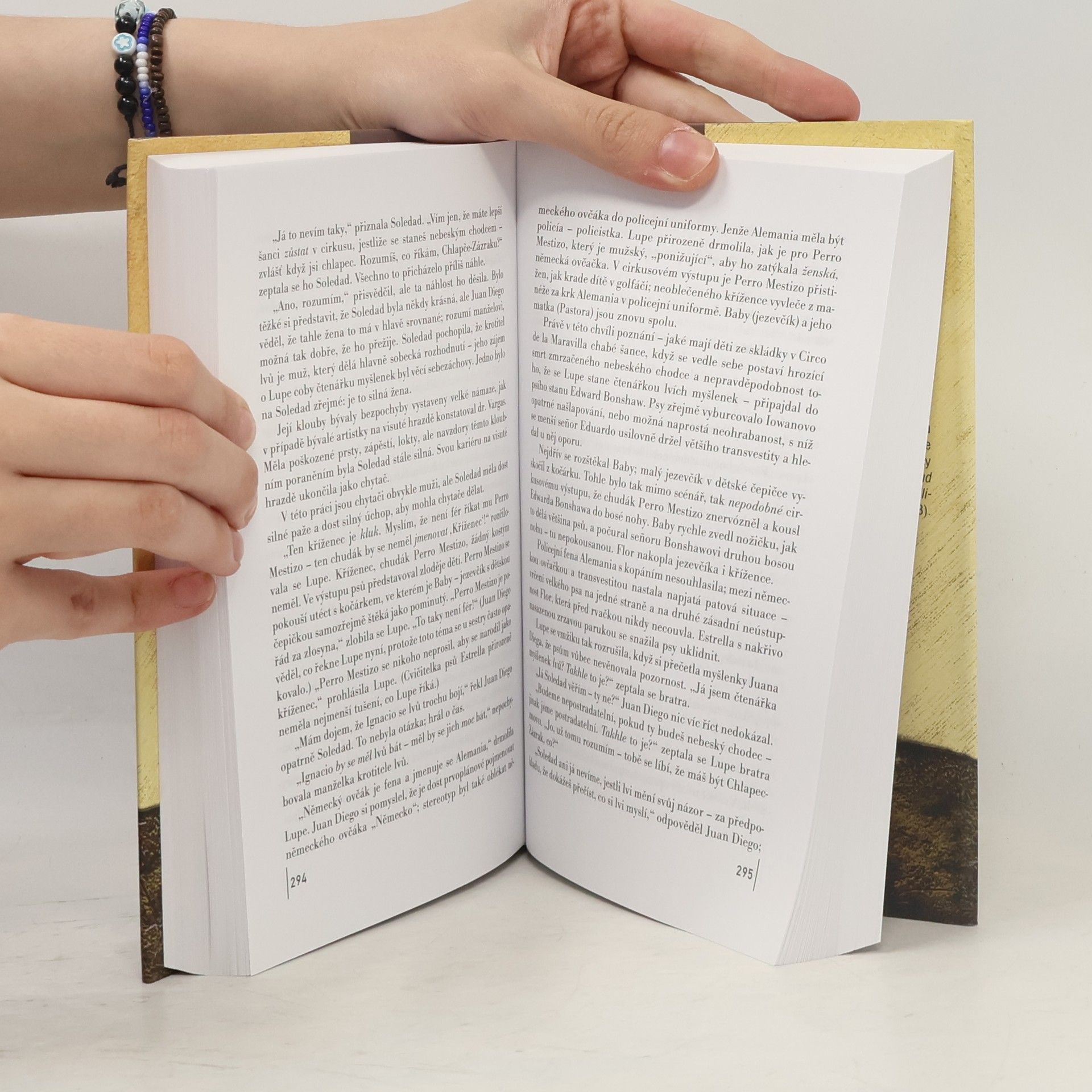 John Irving Ulice Záhadných tajemství