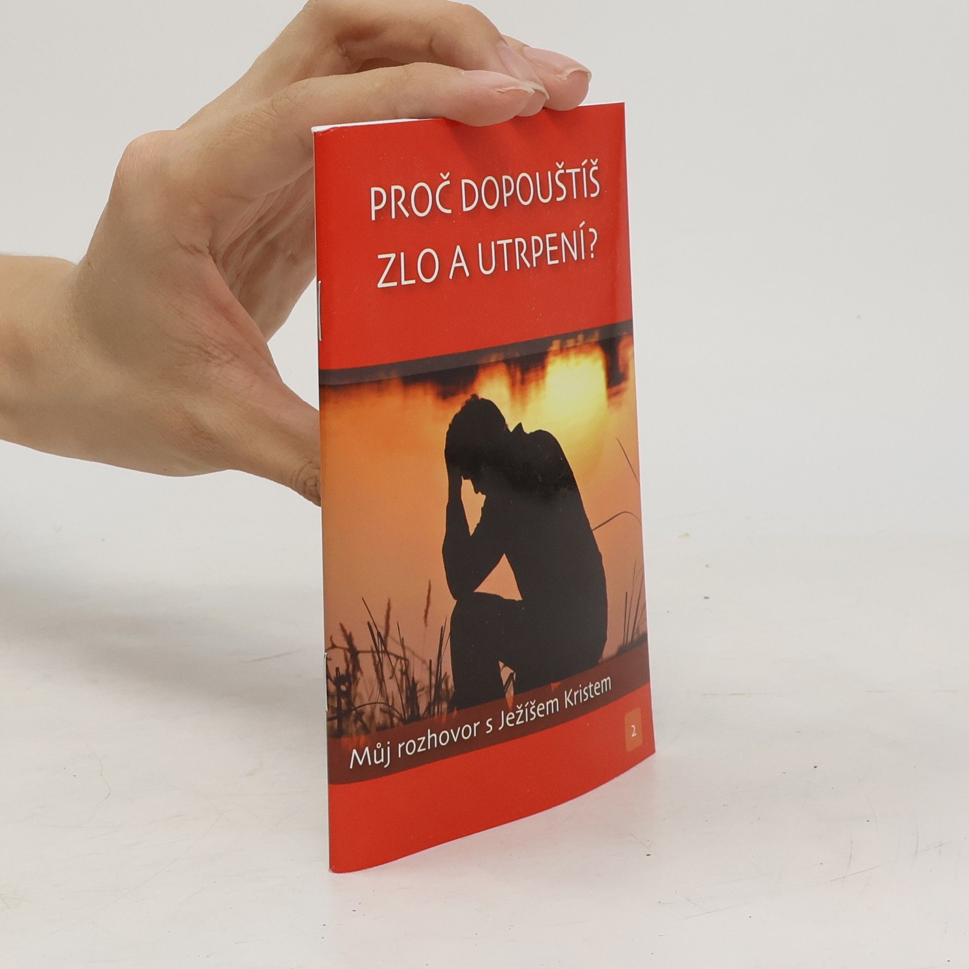 Autorenkollektiv Proč dopouštíš zlo a utrpení?