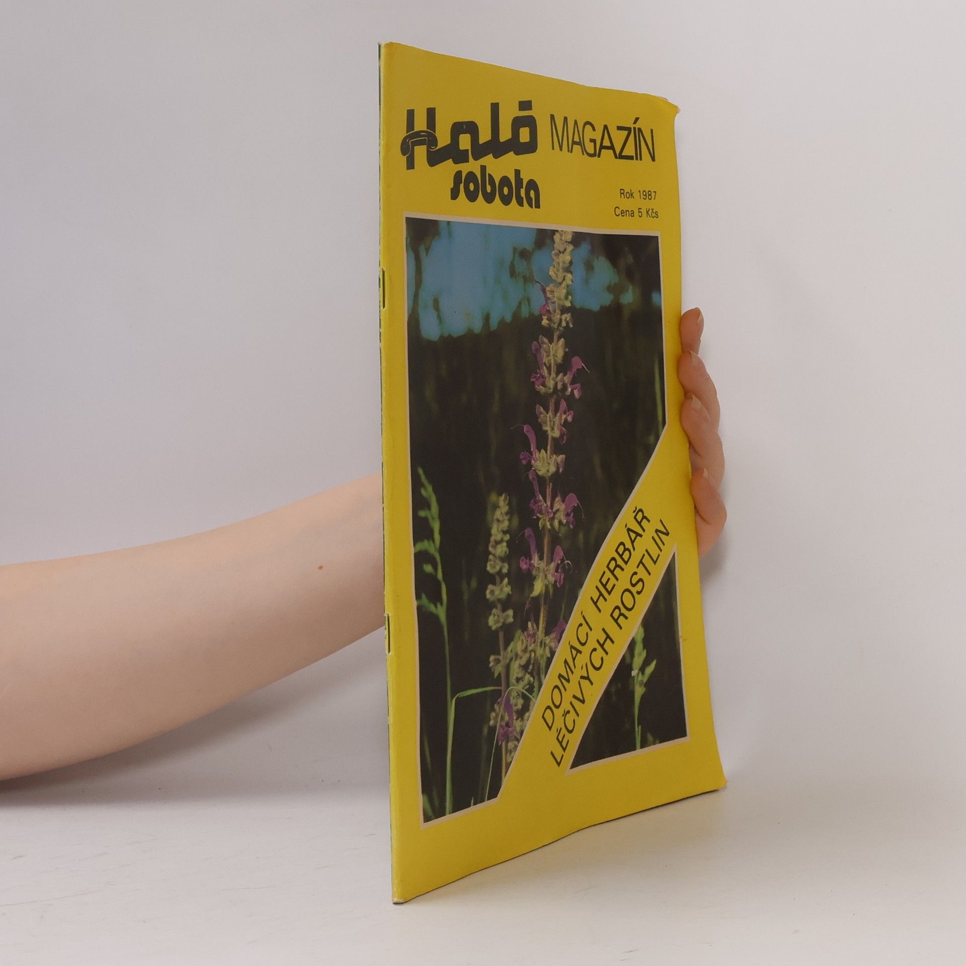 Kolektiv autorů Magazín Haló sobota 1987
