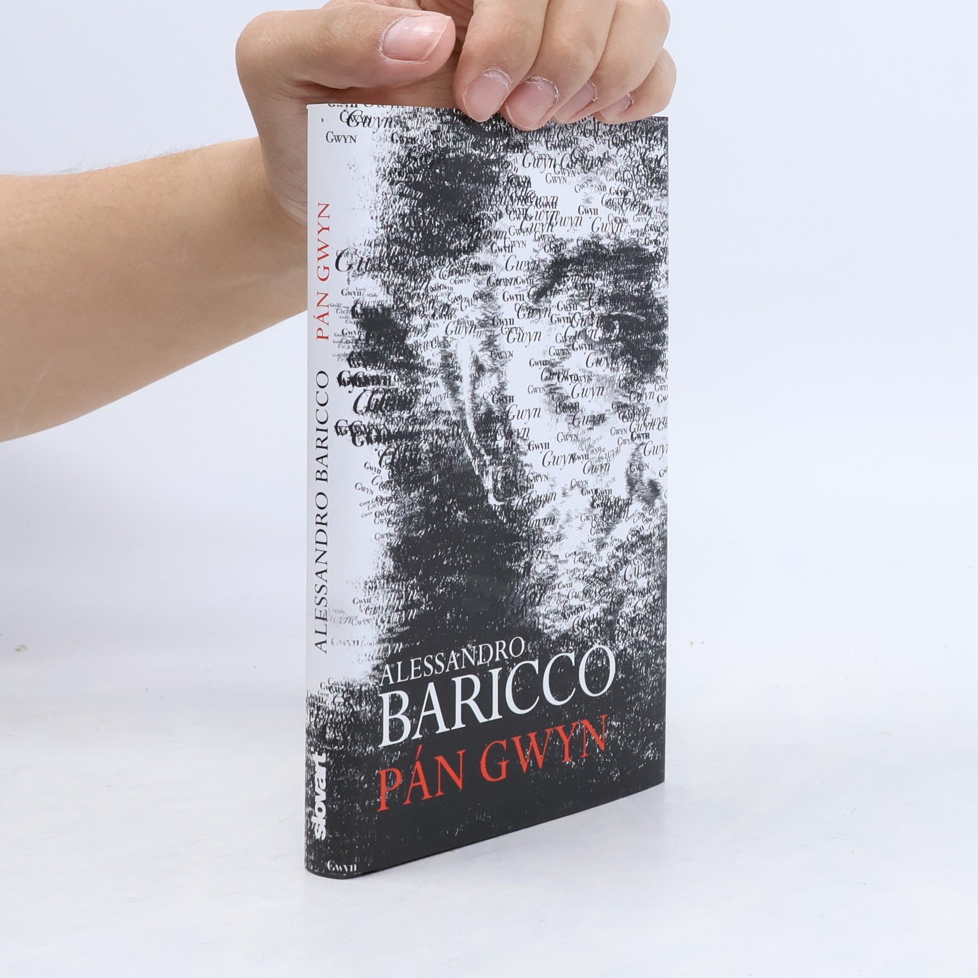 Alessandro Baricco Pán Gwyn