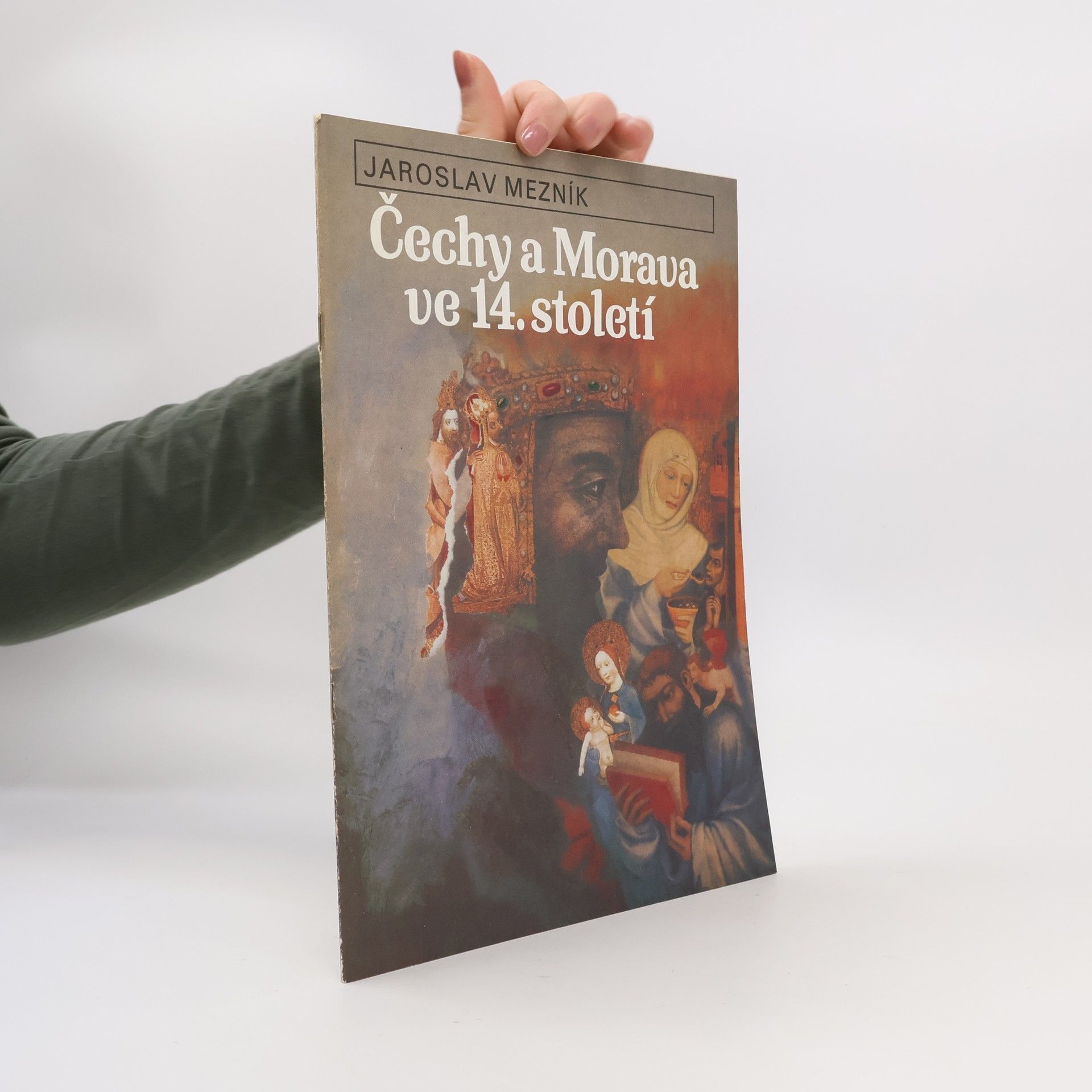Jaroslav Mezník Čechy a Morava ve 14. století