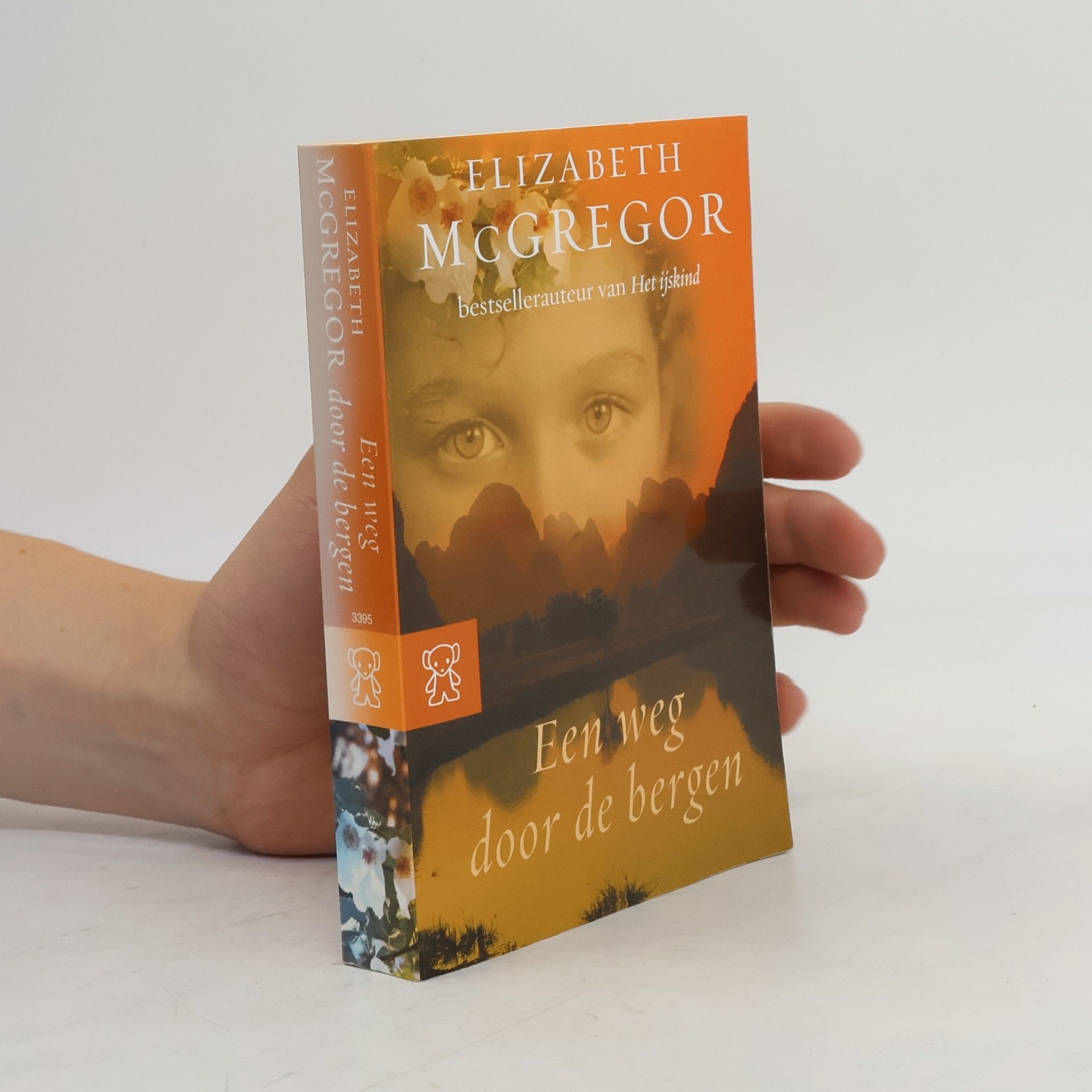 Elizabeth McGregor Zwarte beertjes - 3395: Een weg door de bergen
